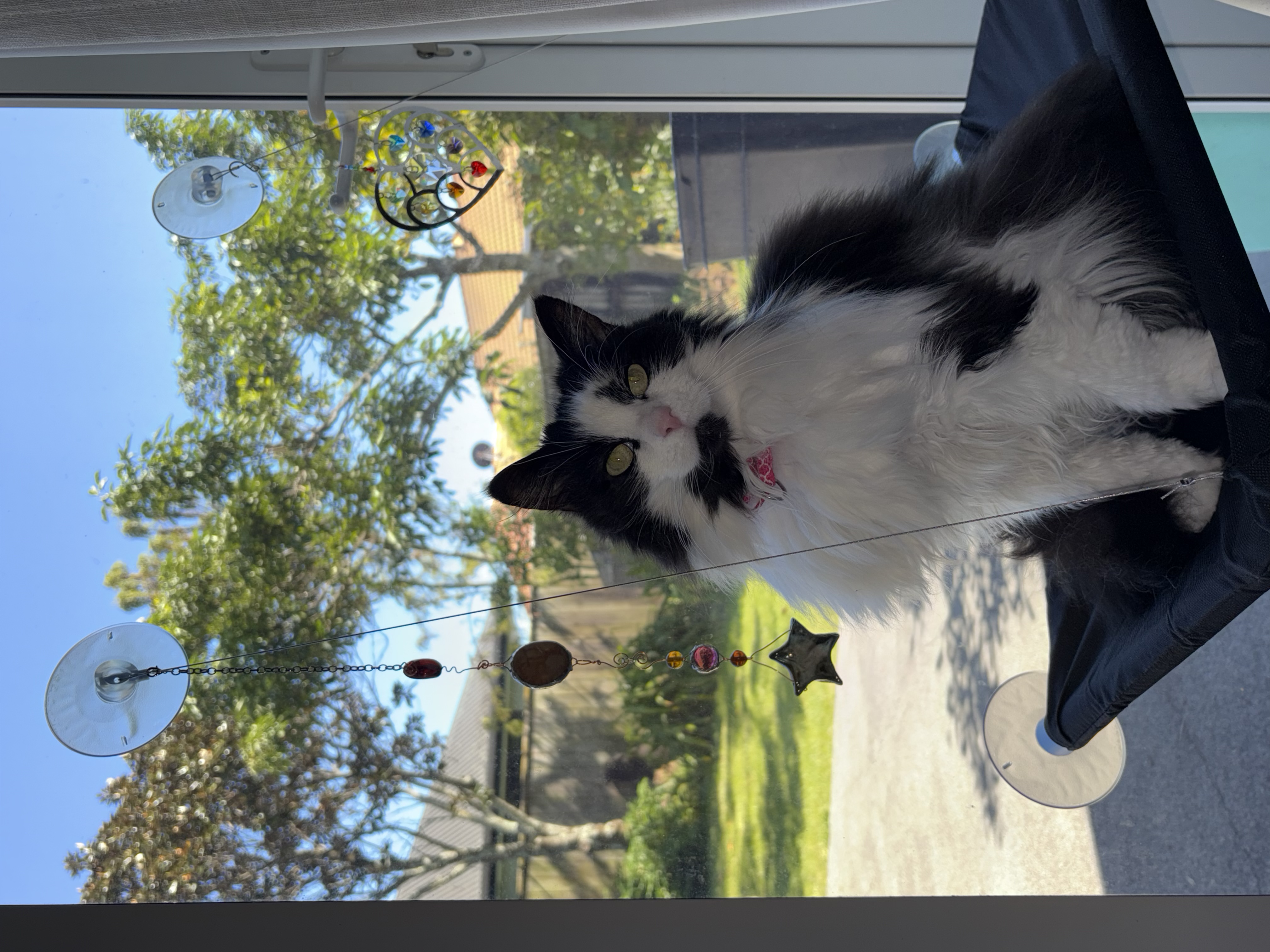 image-41