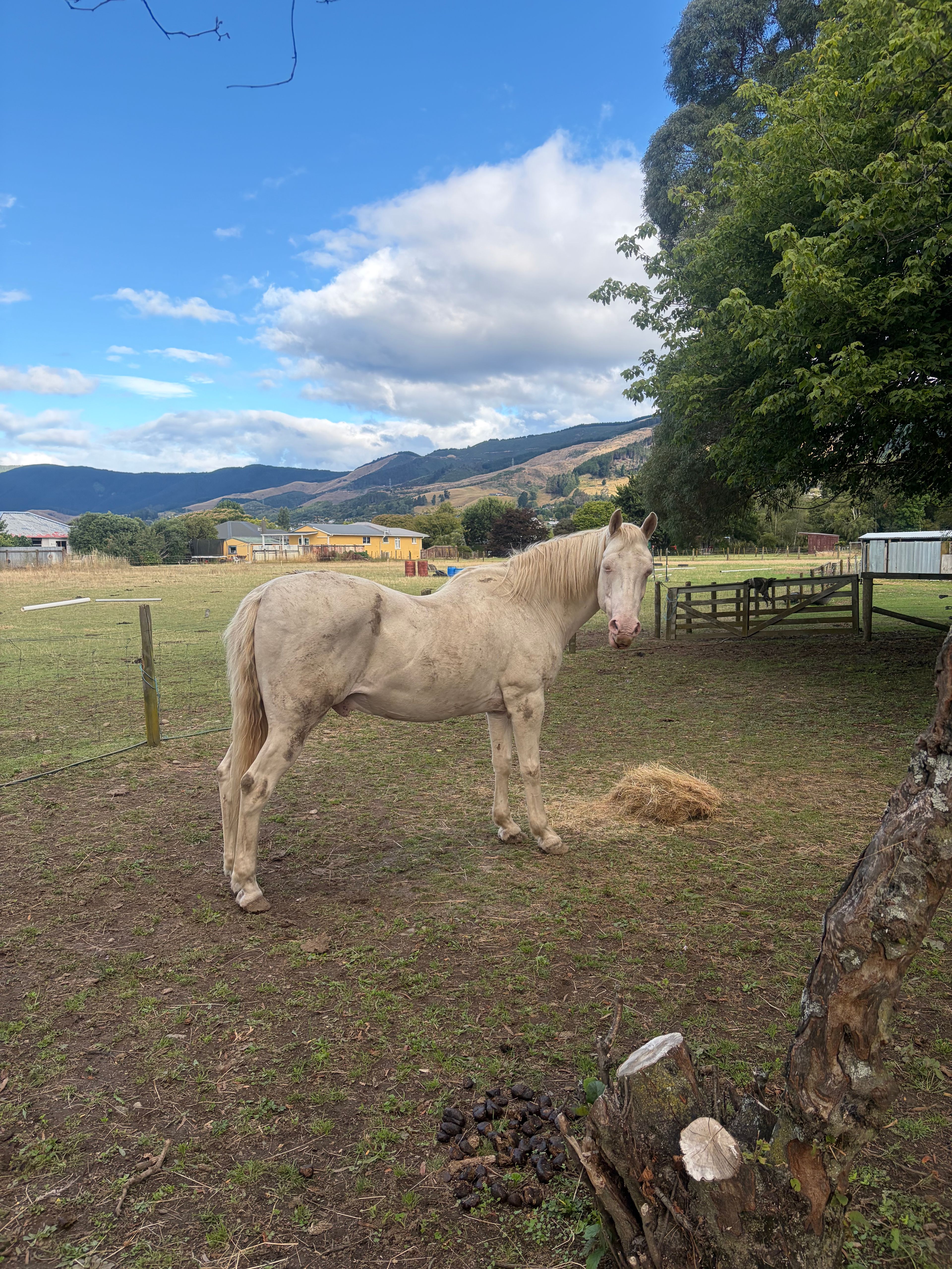 image-46