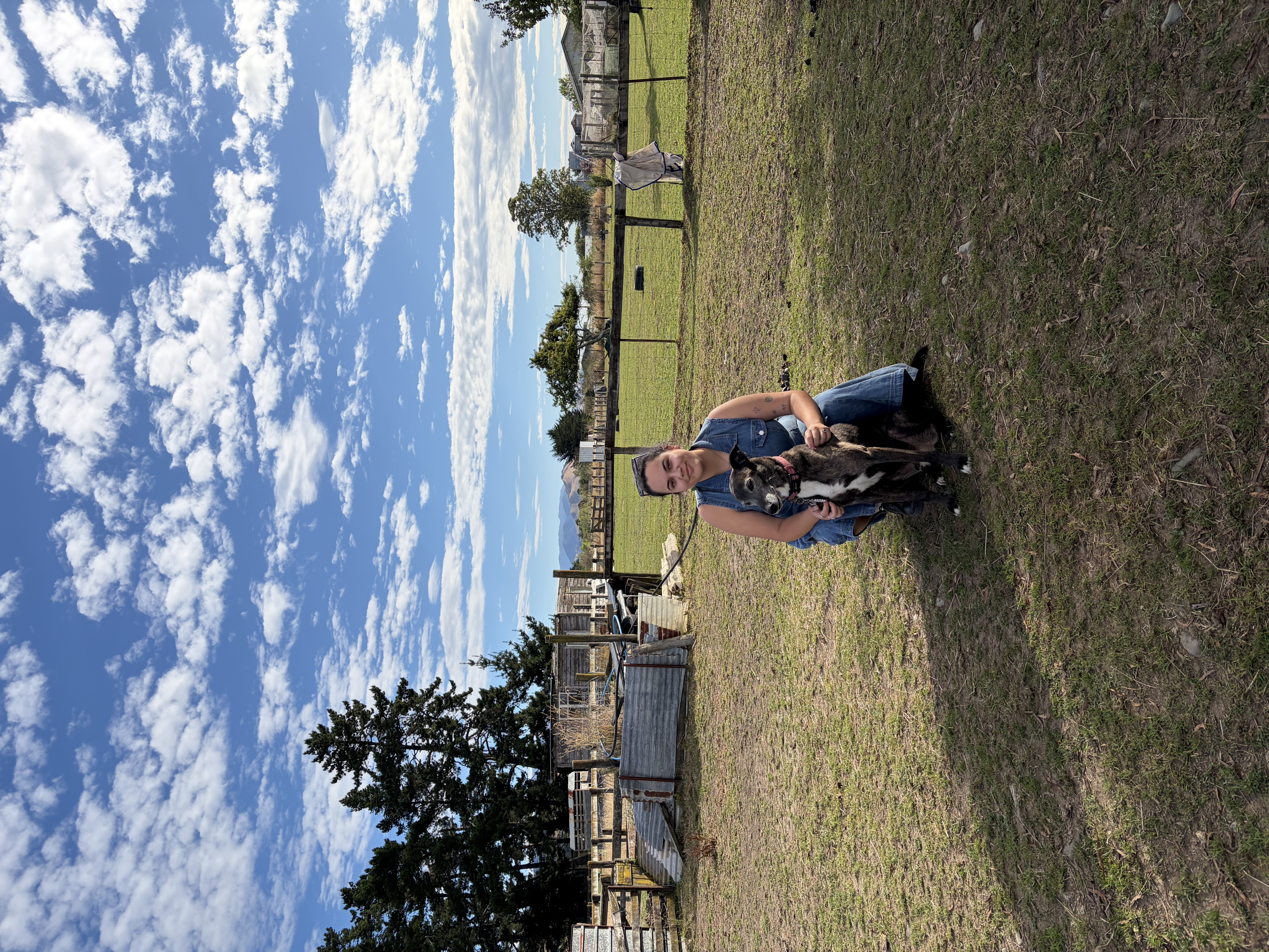 image-43