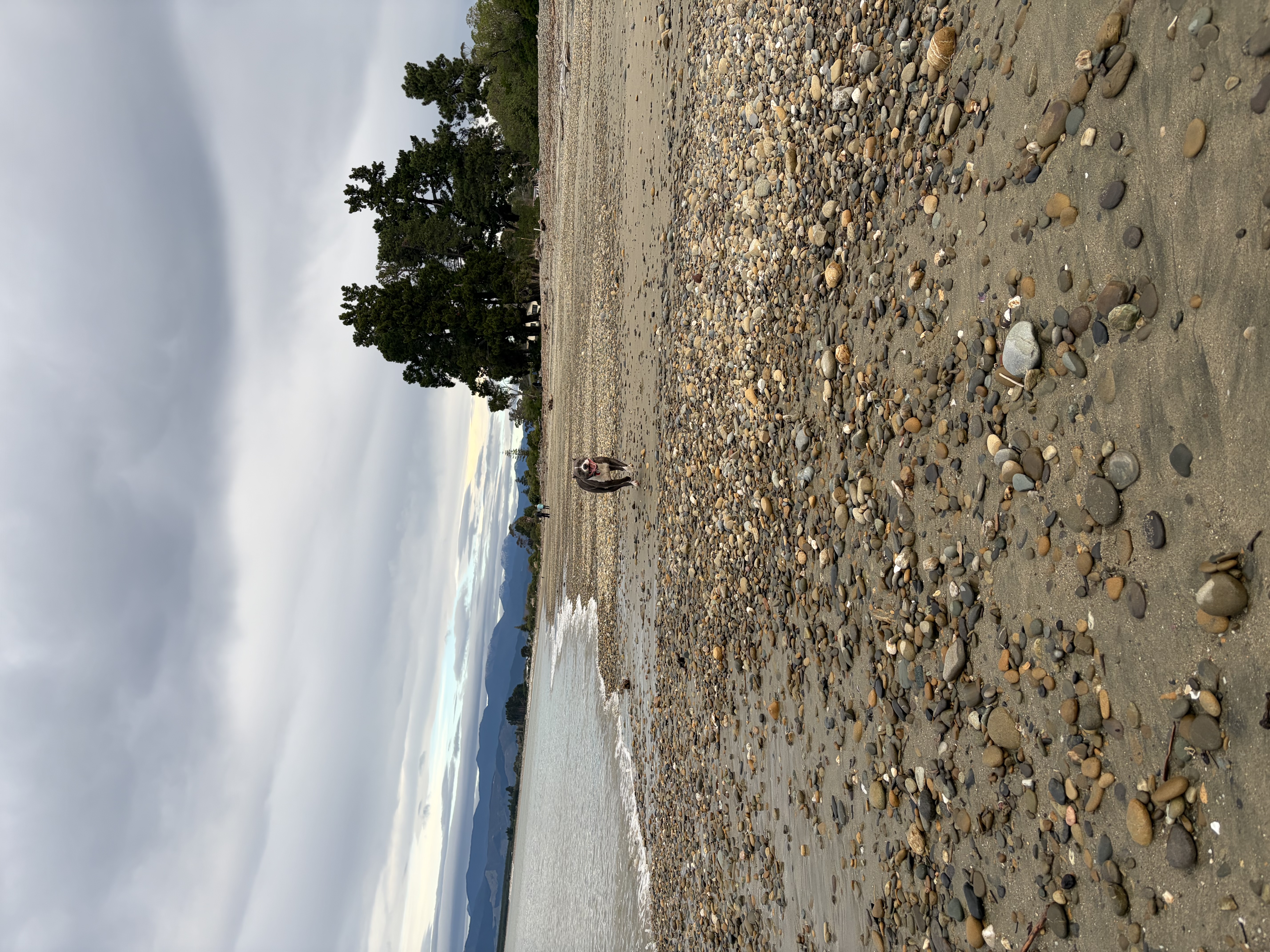 image-36