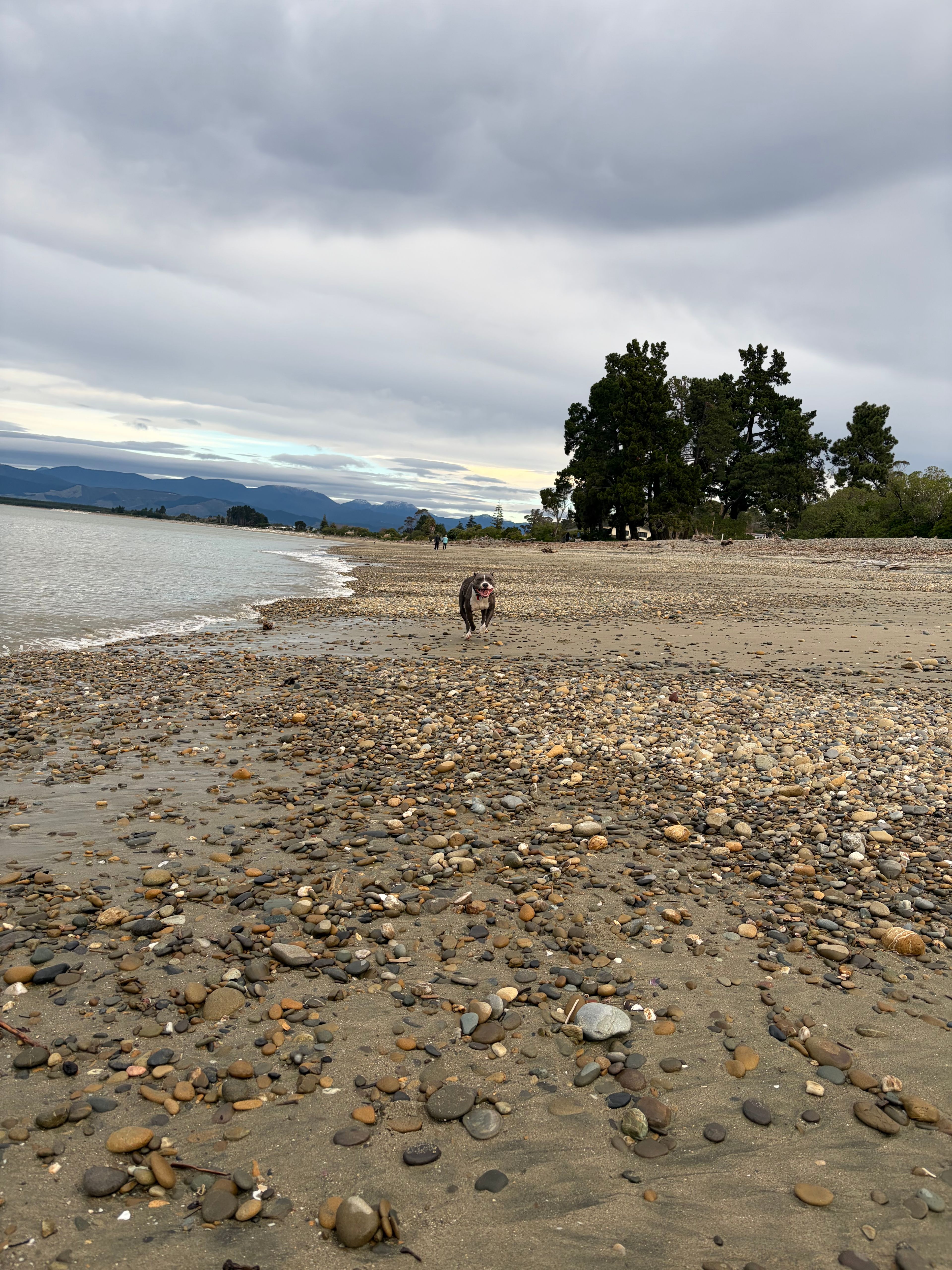 image-36