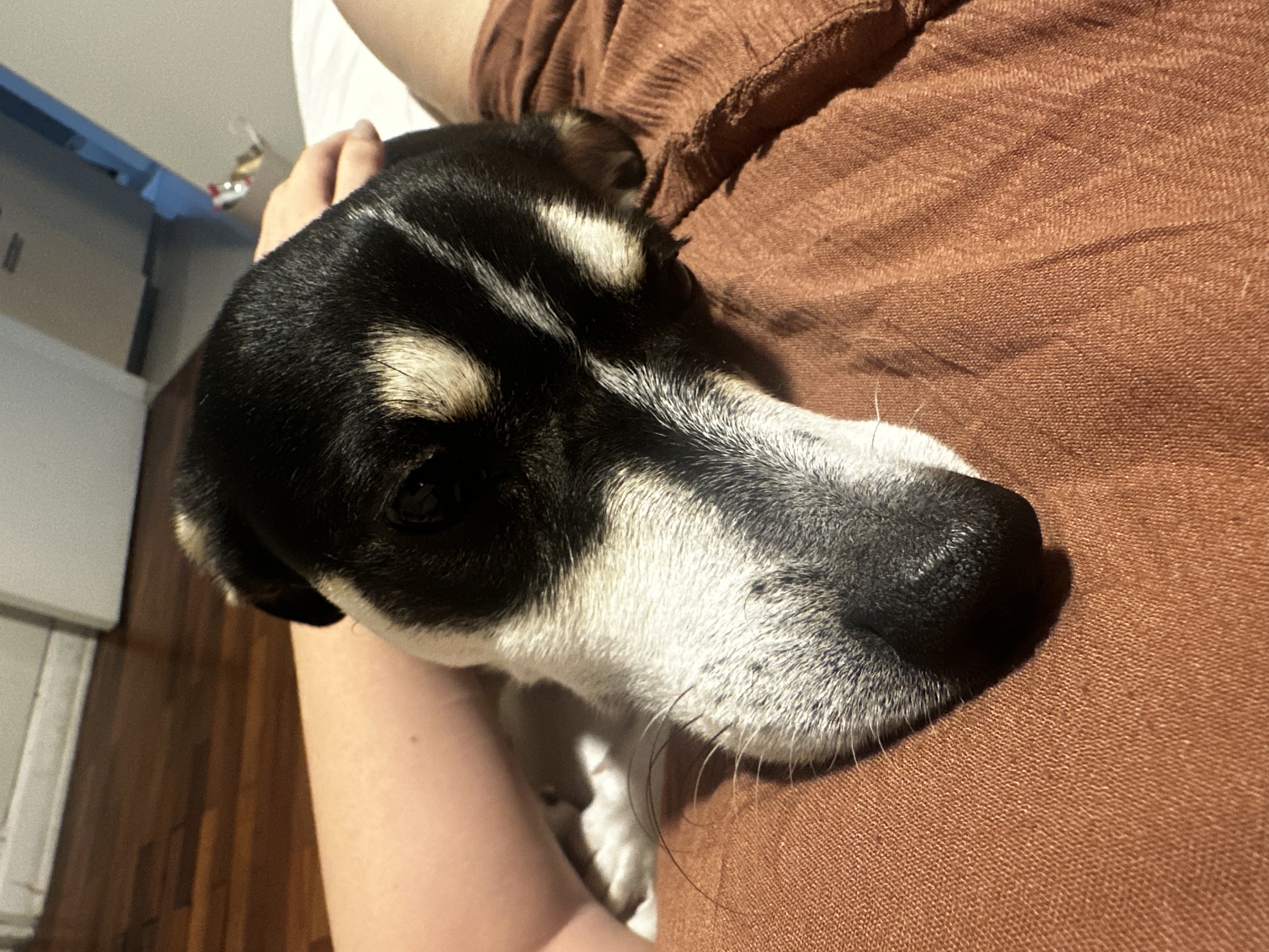 image-6
