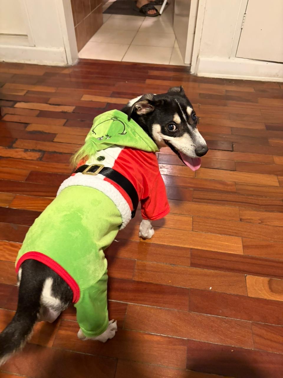 image-7
