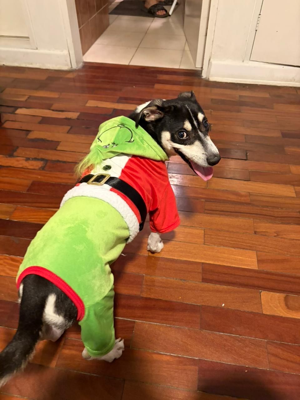 image-7
