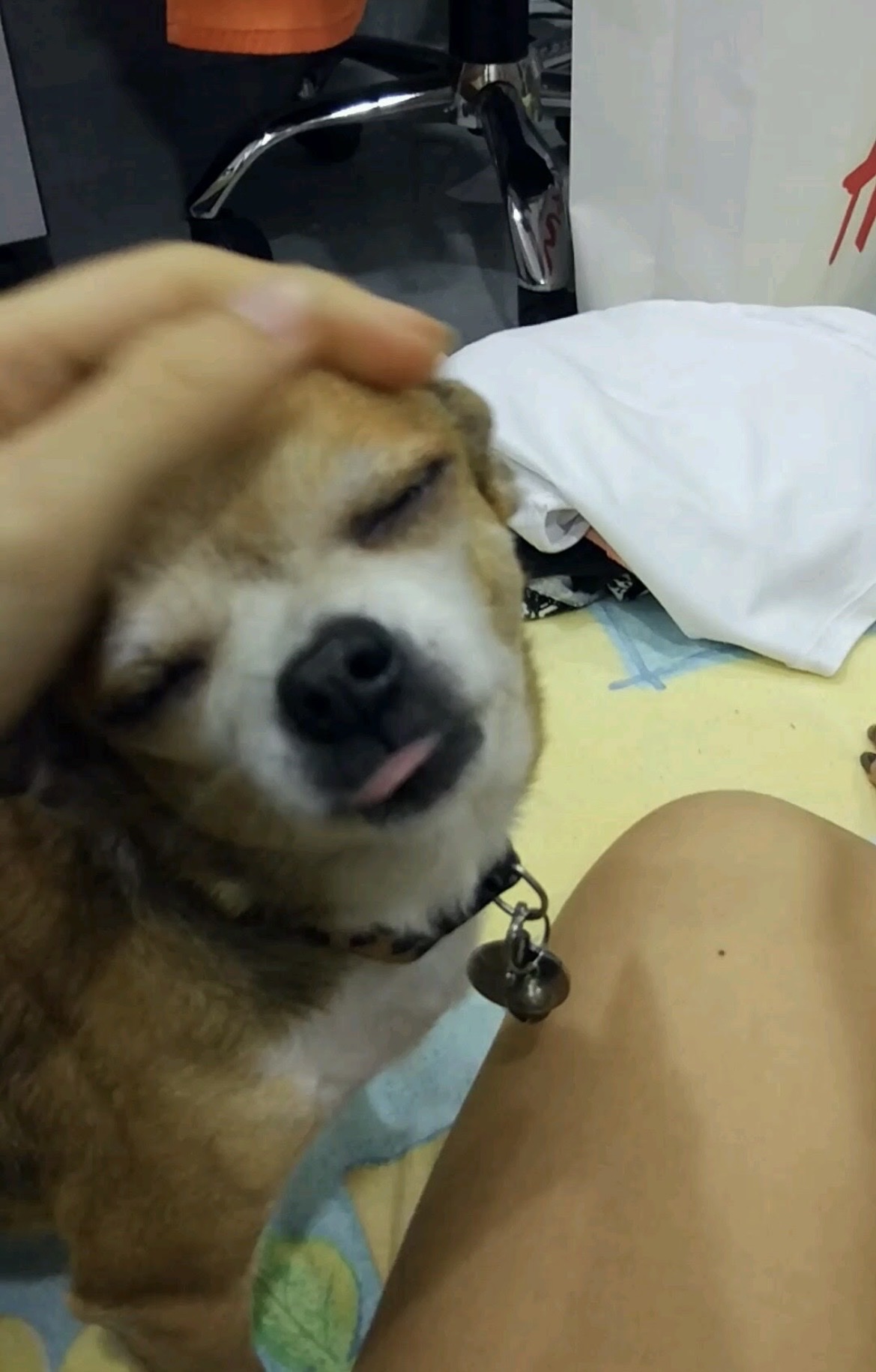 image-5