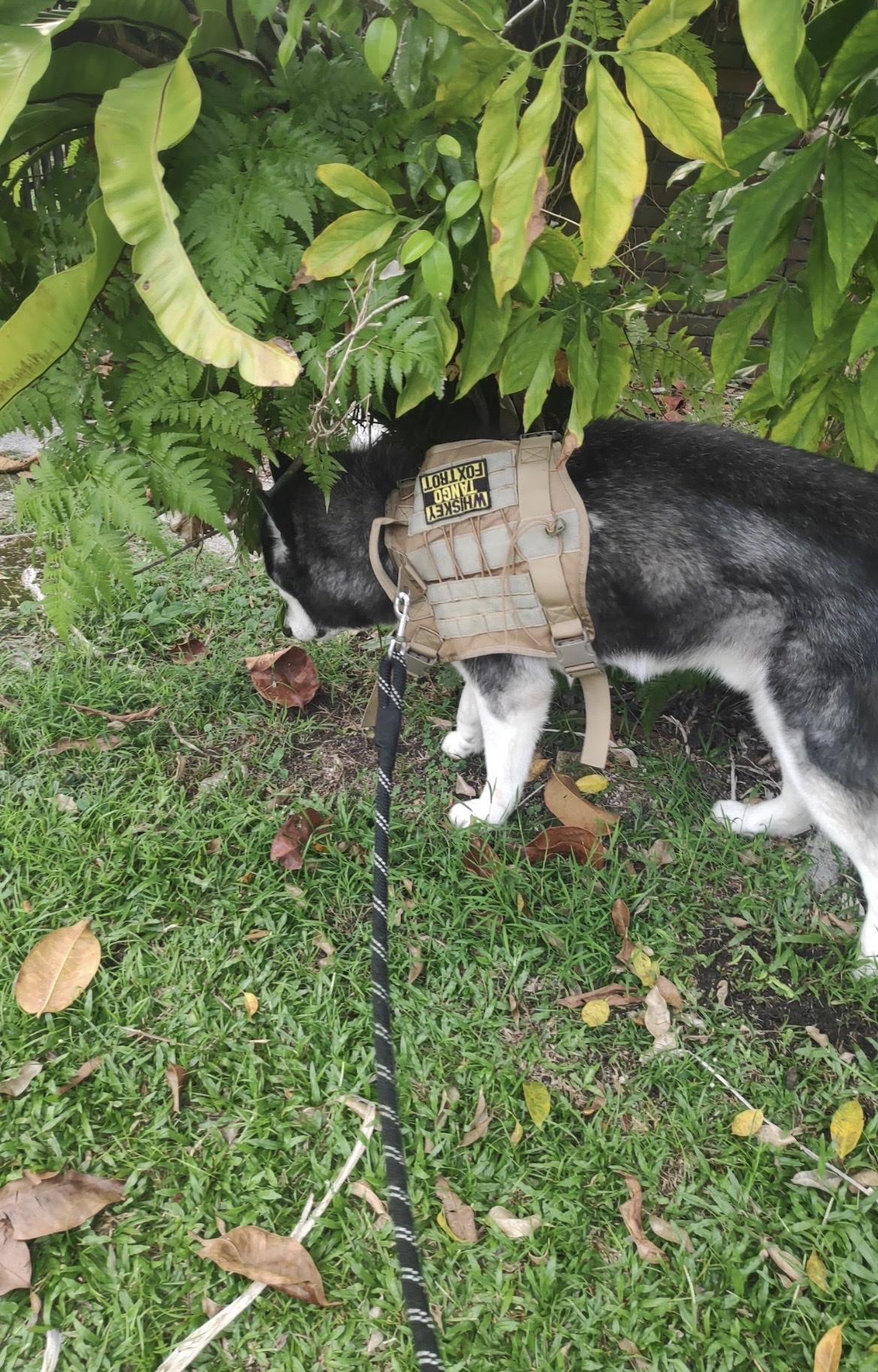 image-11