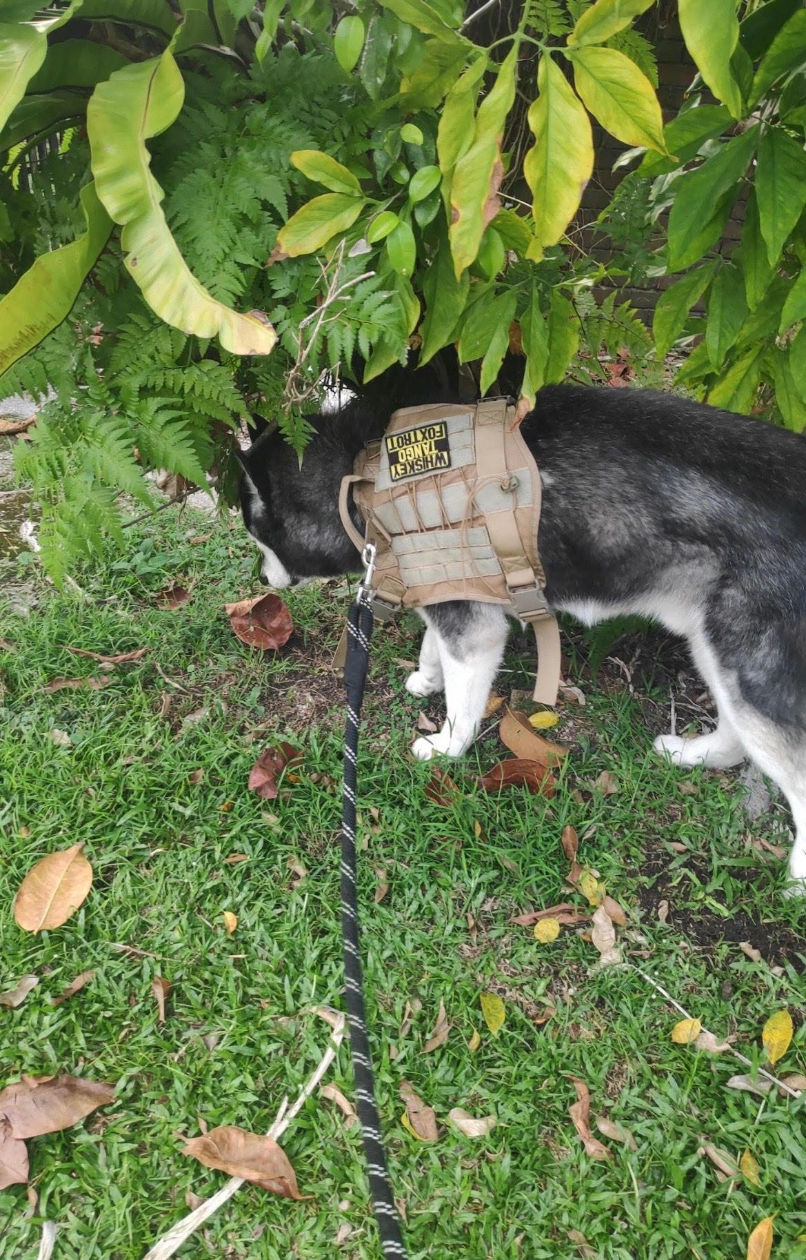 image-11