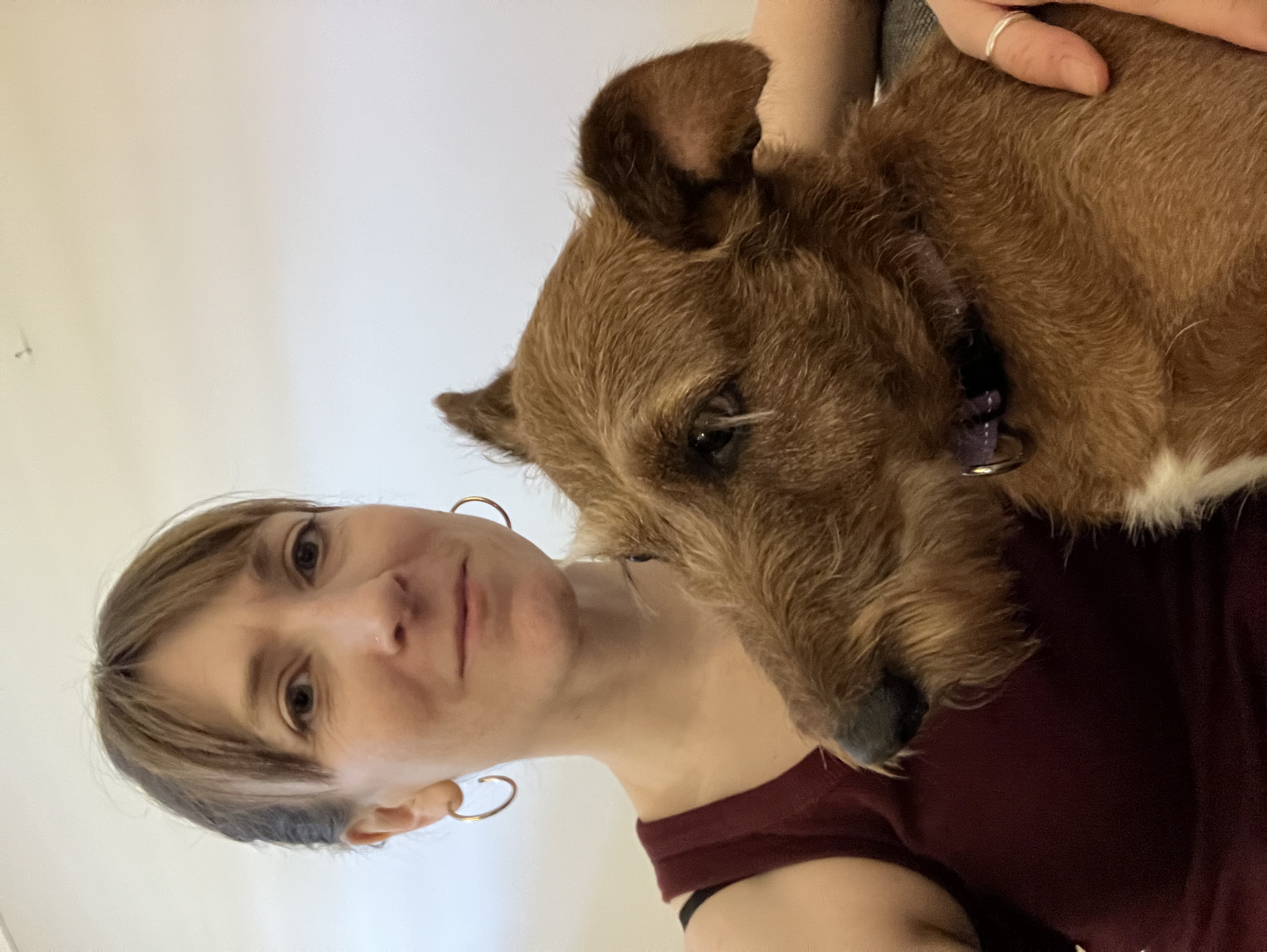 image-9
