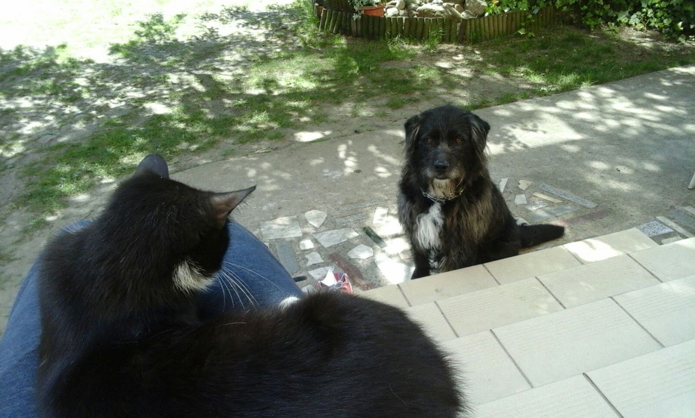 image-22