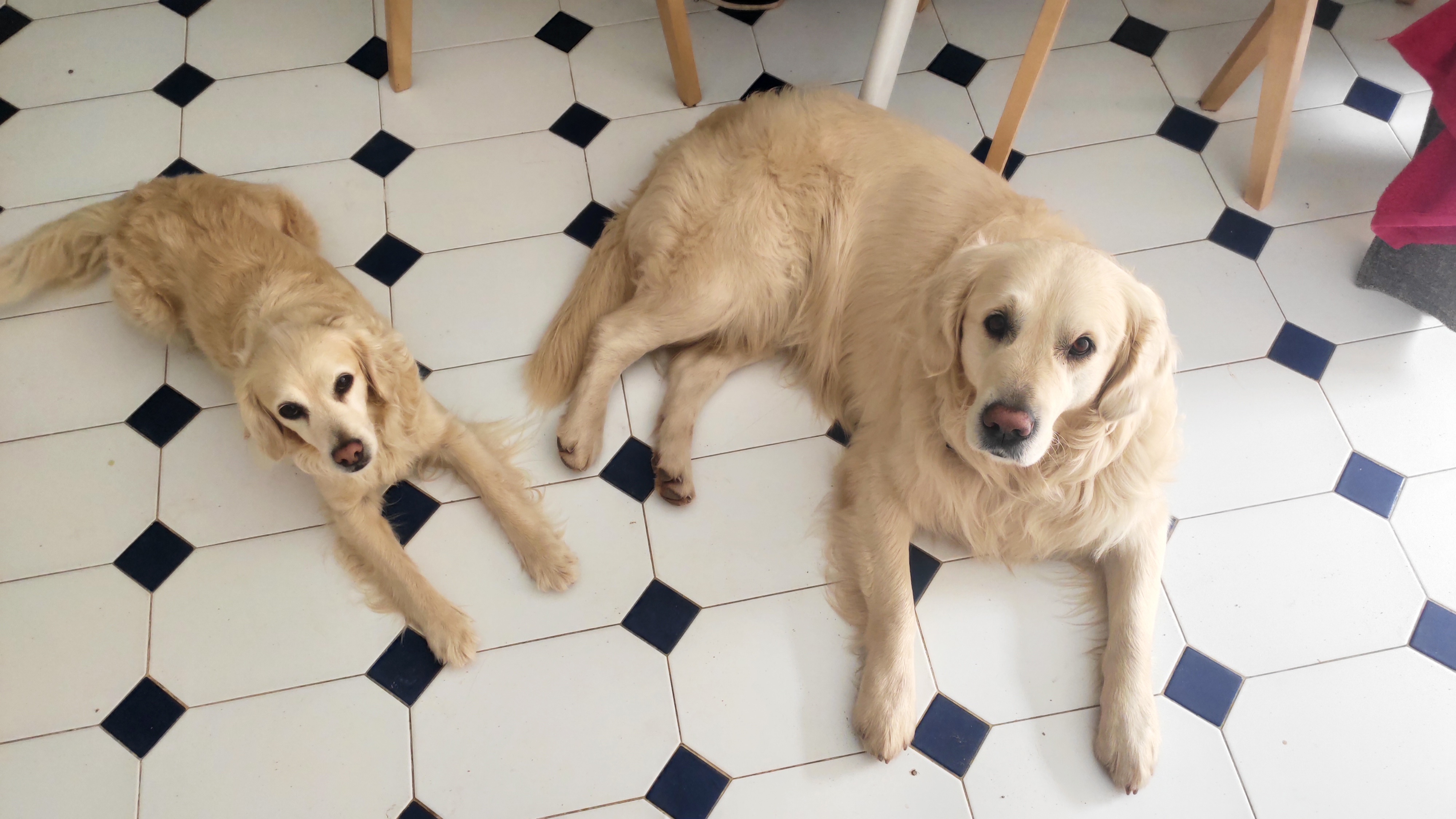 image-15