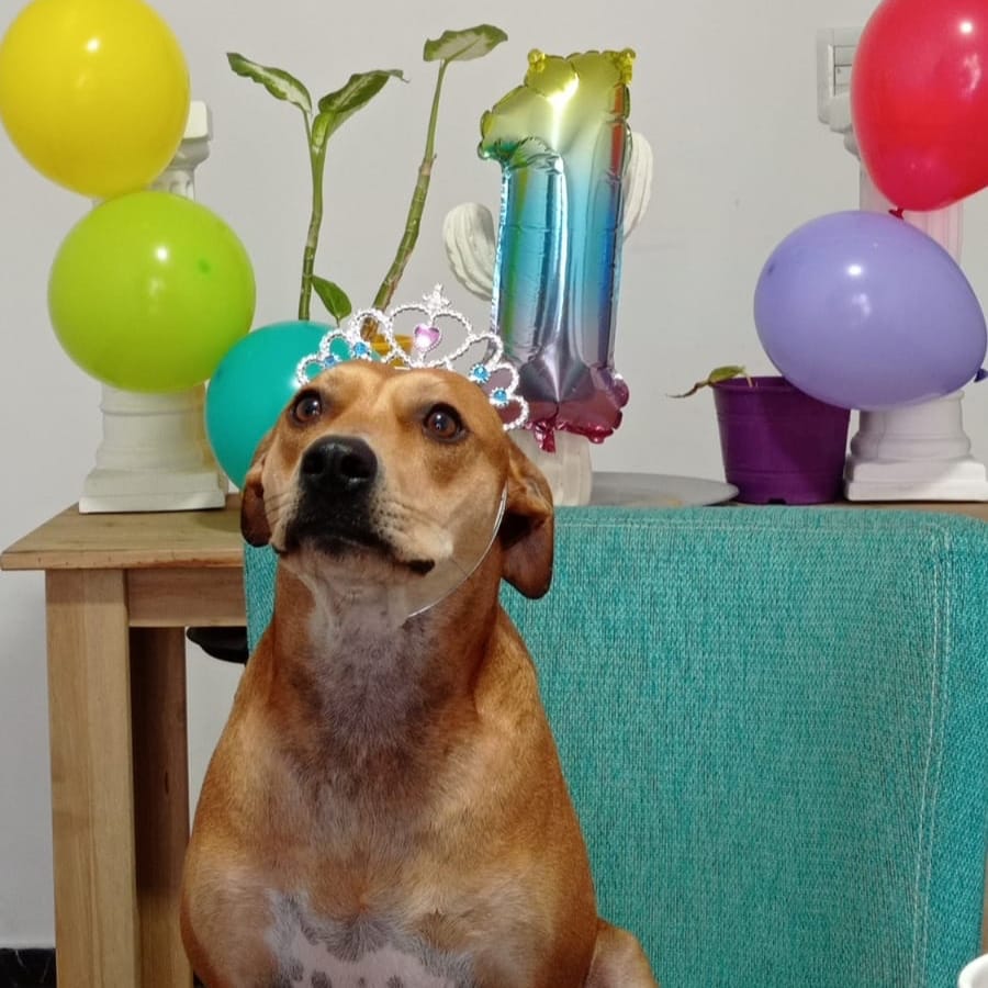 Felipa