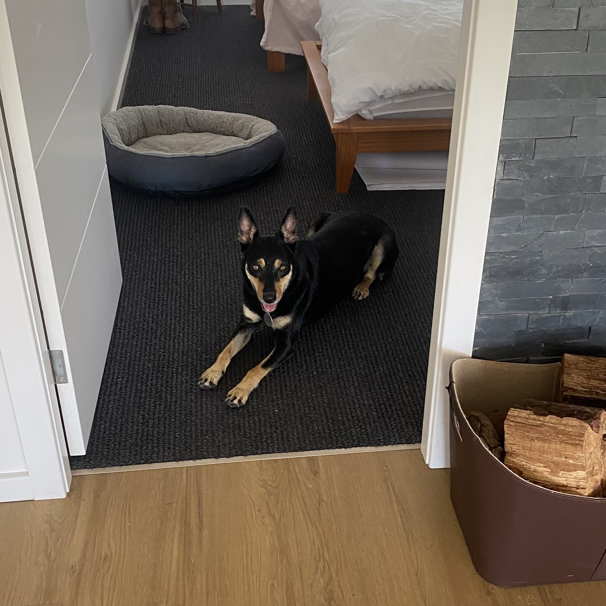 image-6