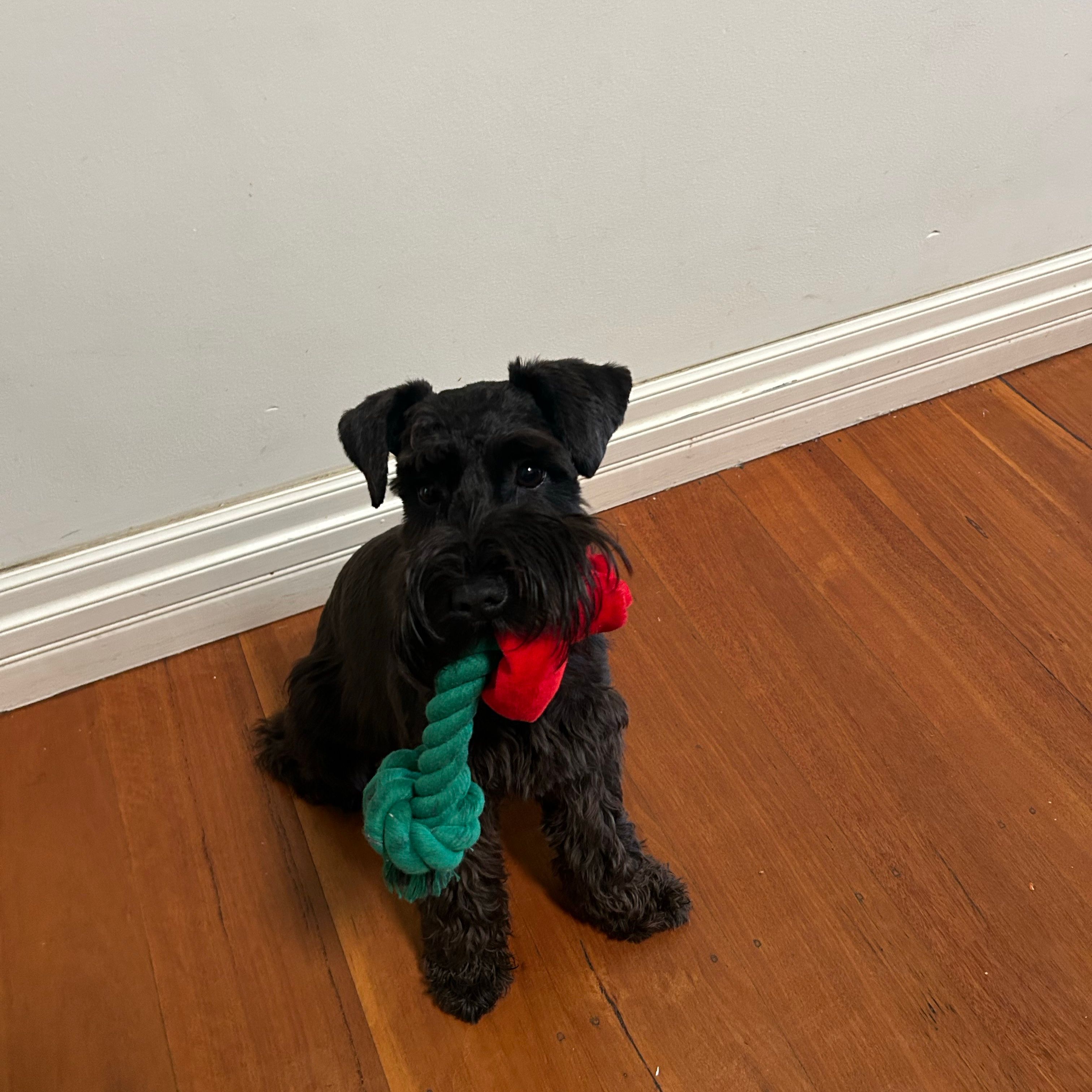 Minnie