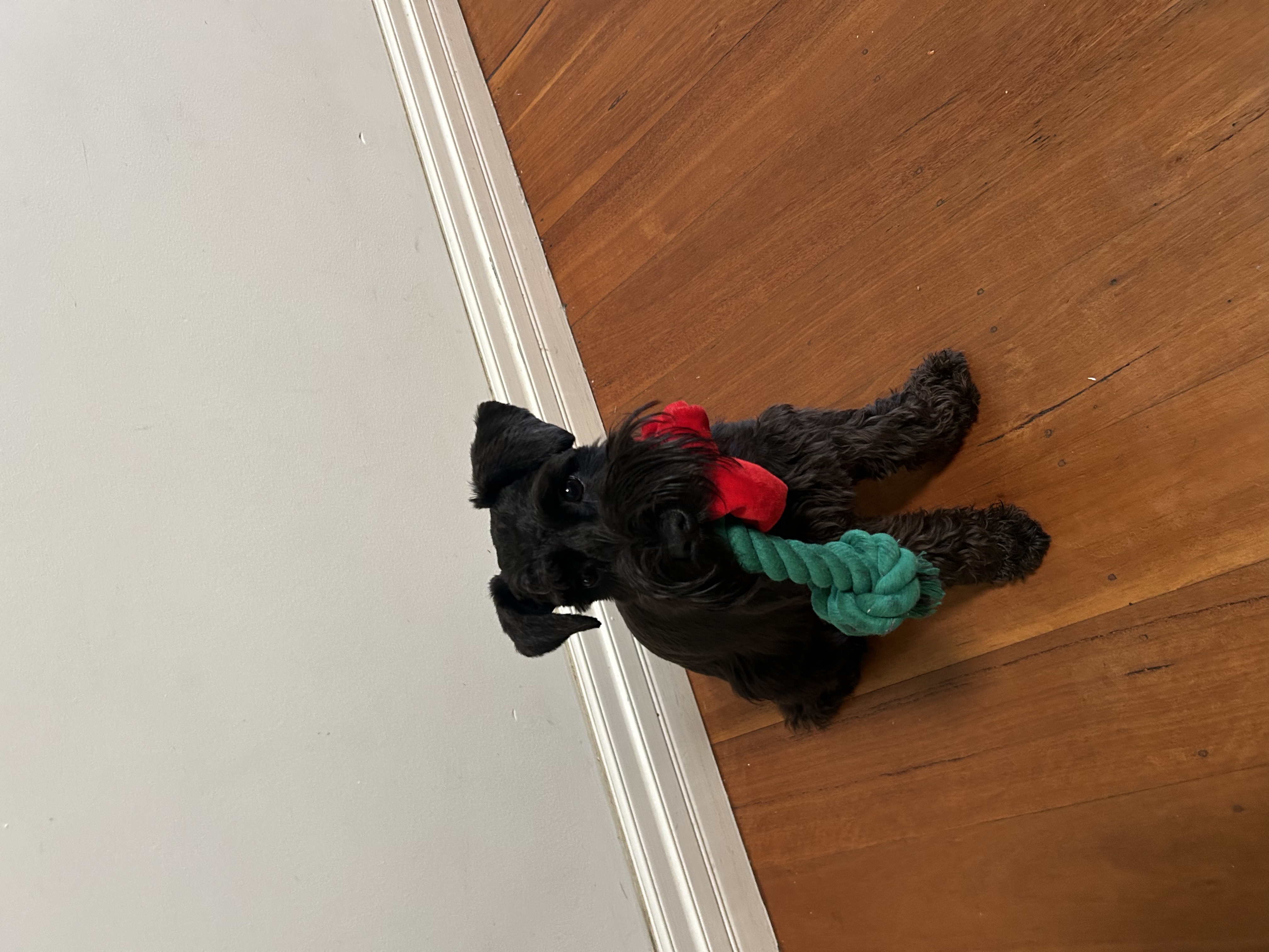 image-6