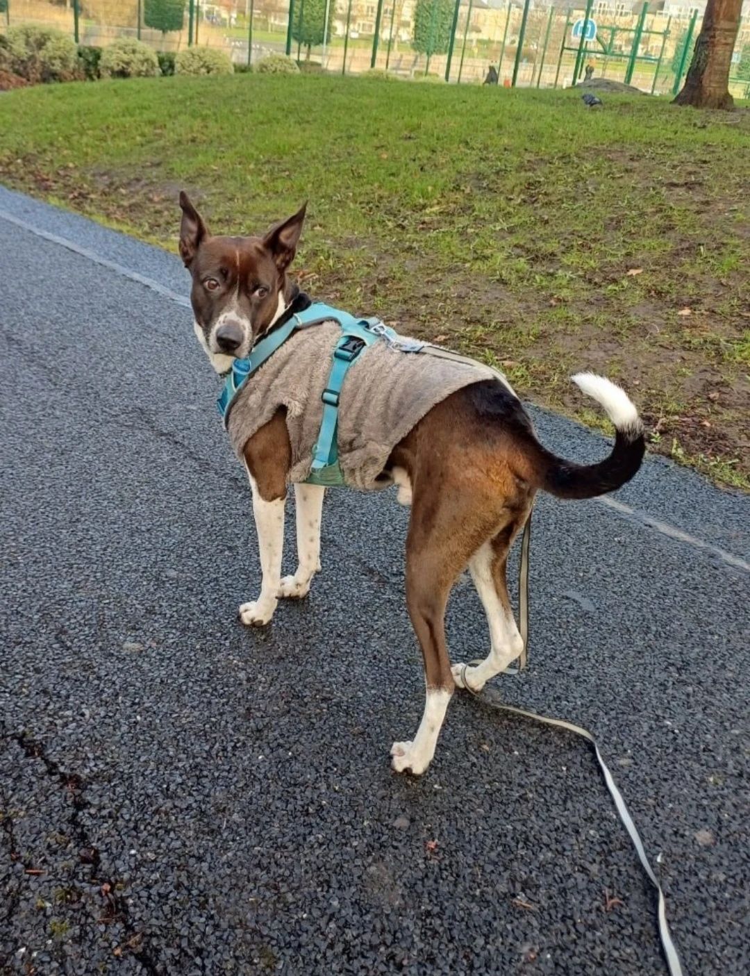 image-12