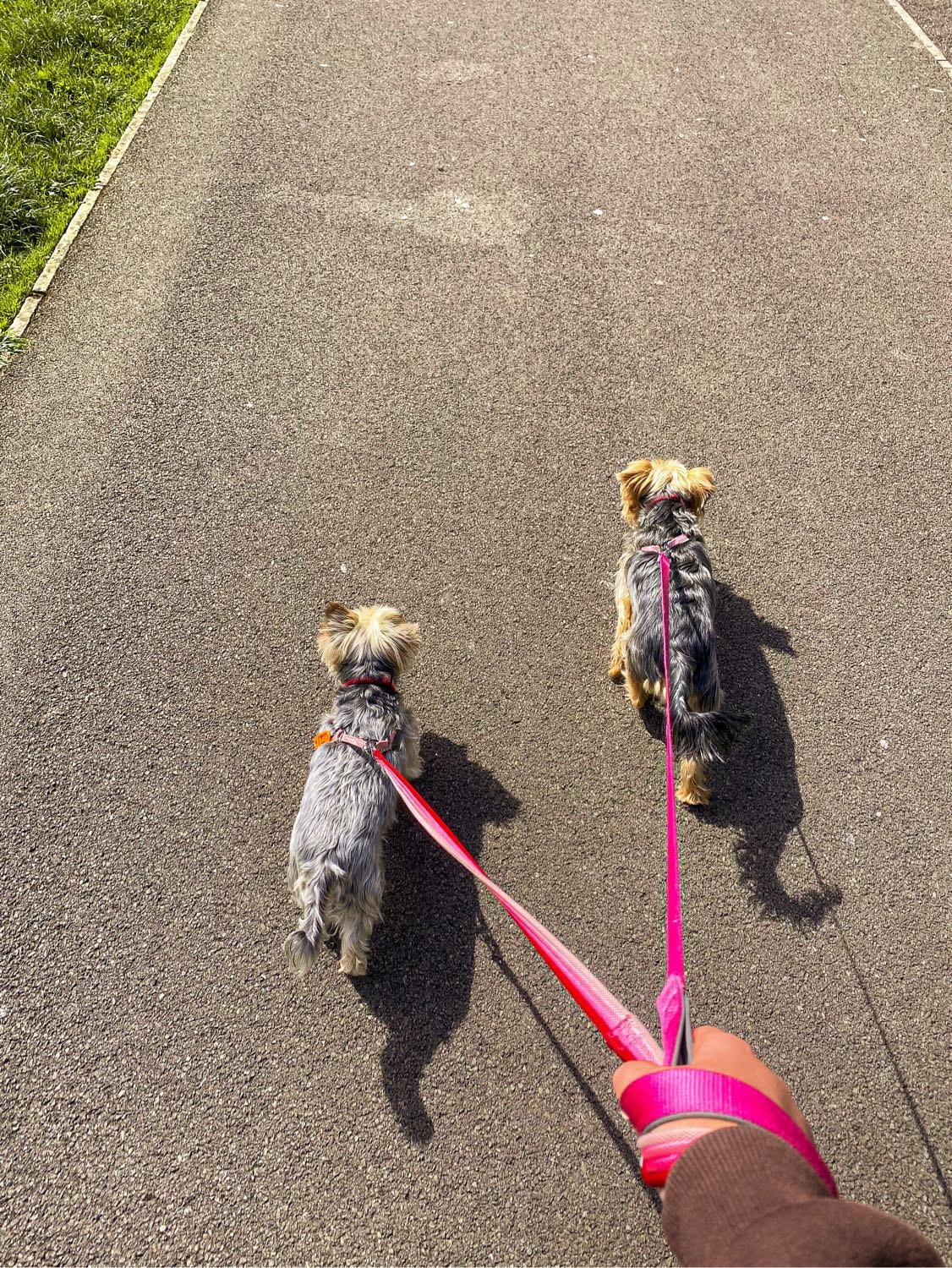 image-4