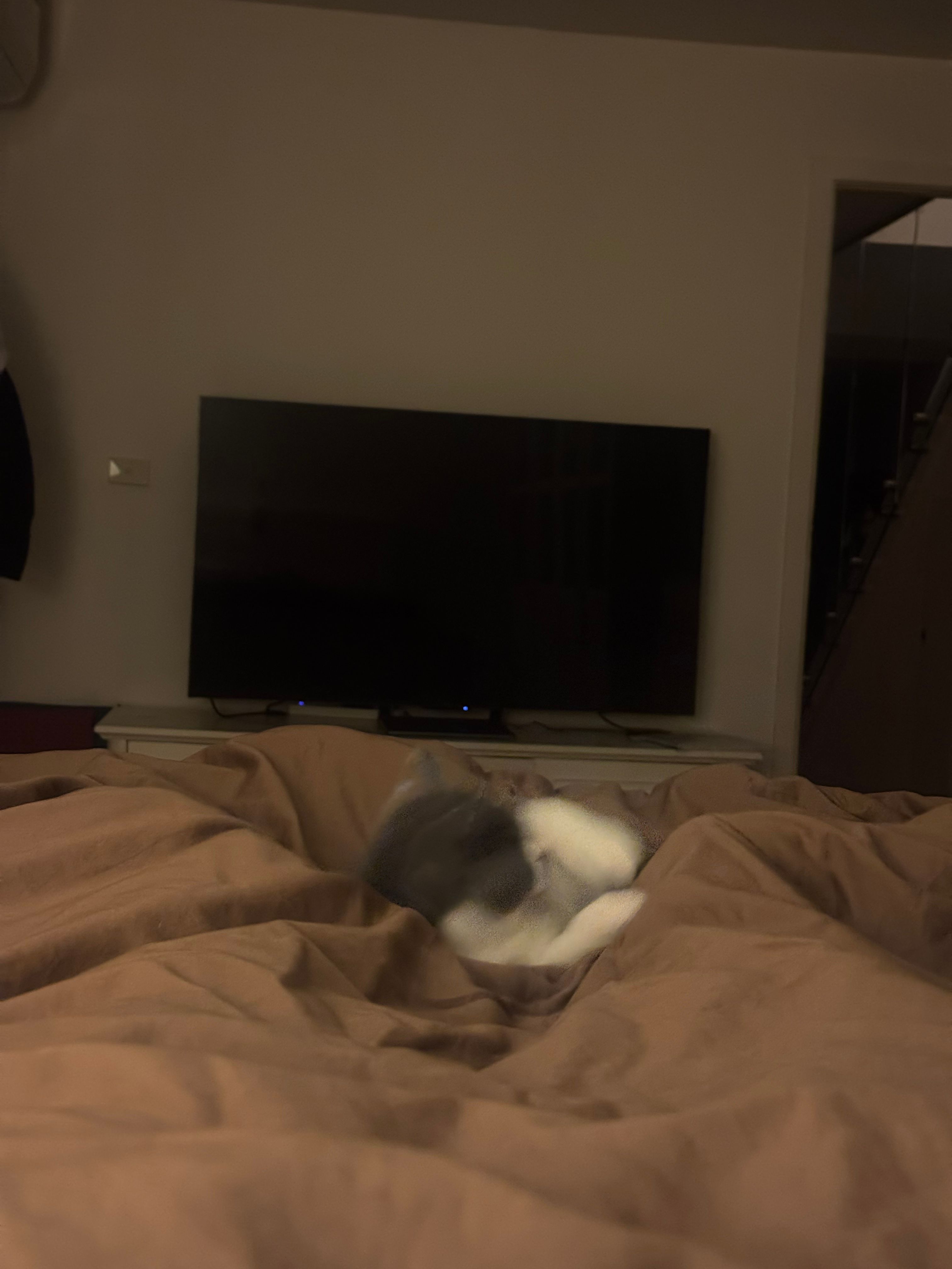image-15