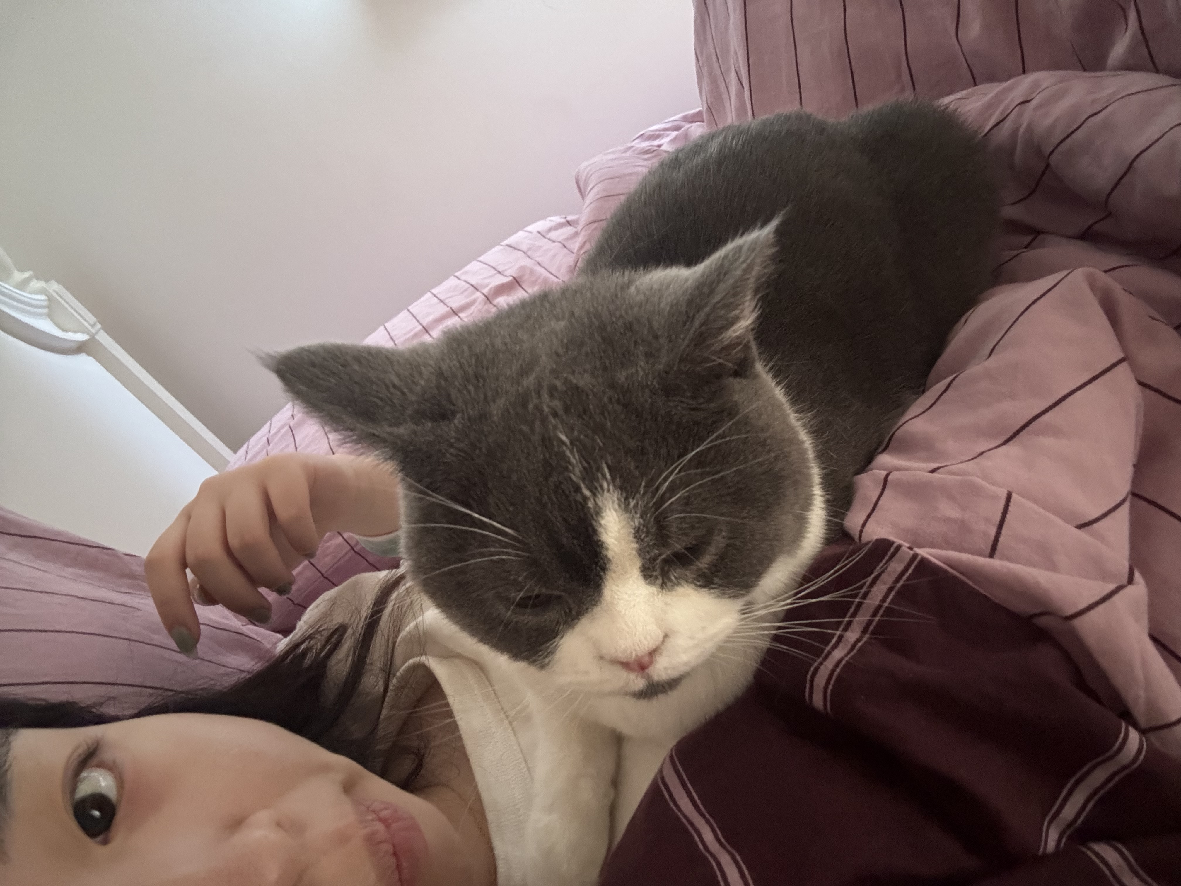 image-7