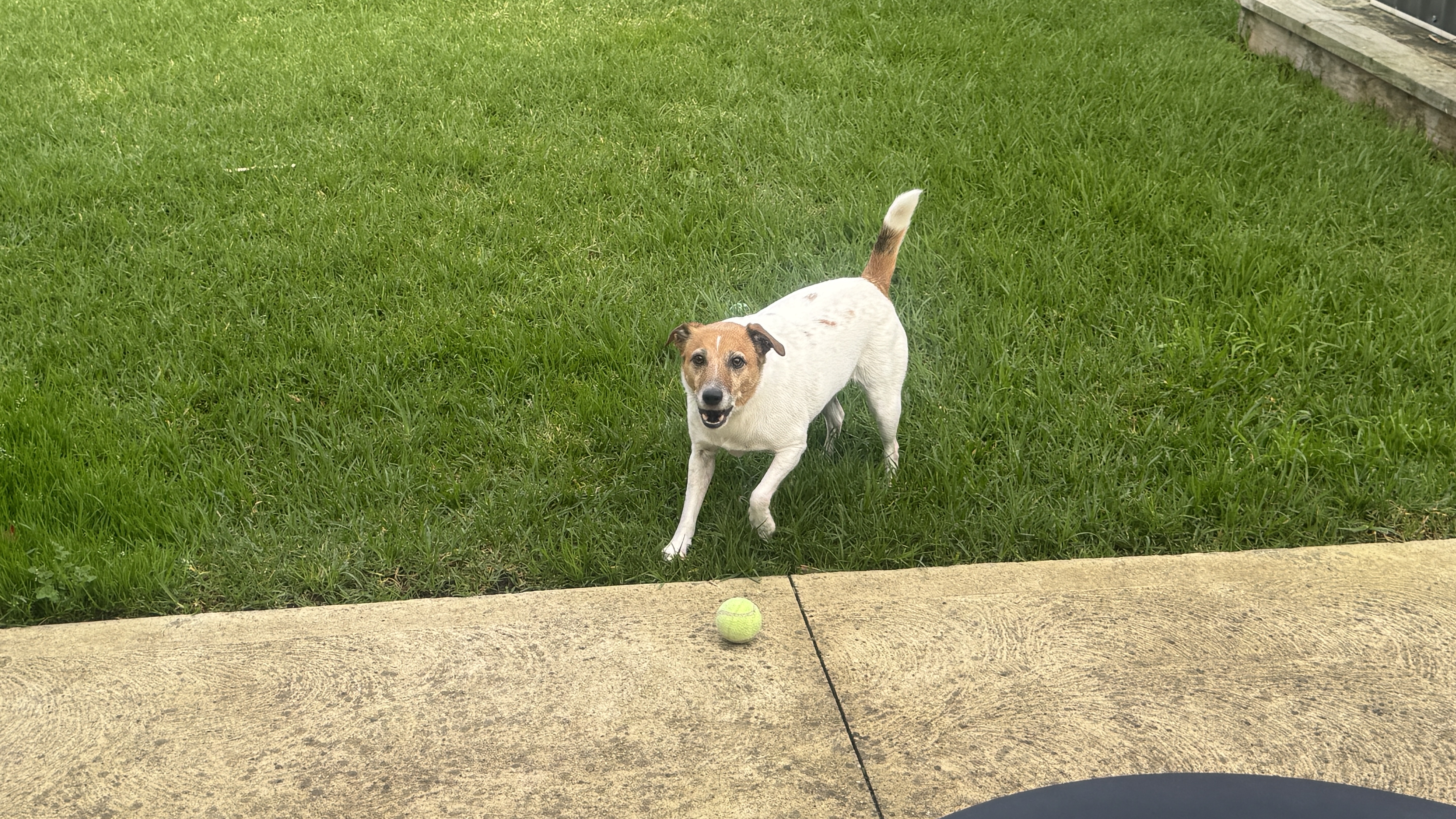 image-27