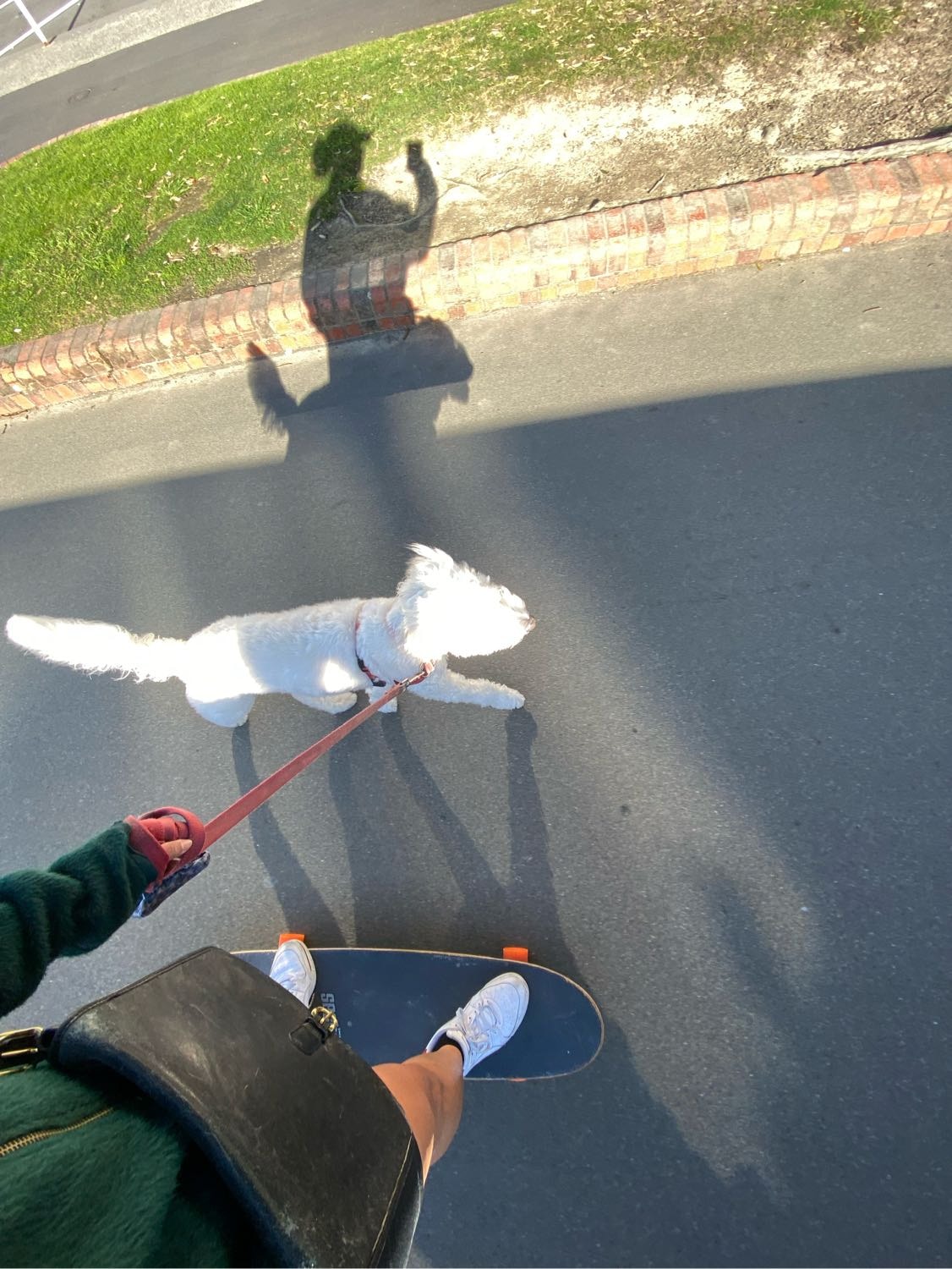 image-6