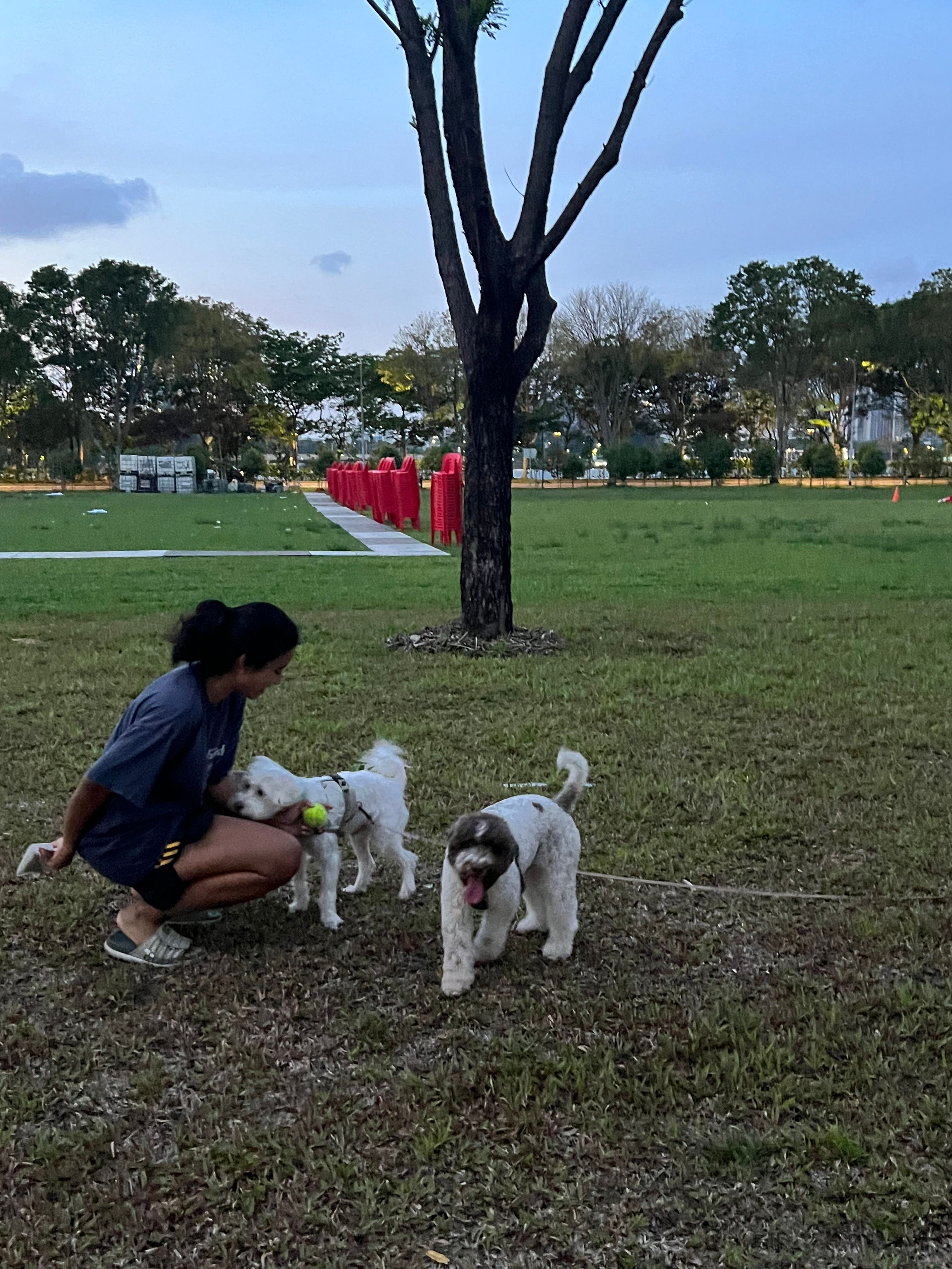image-7