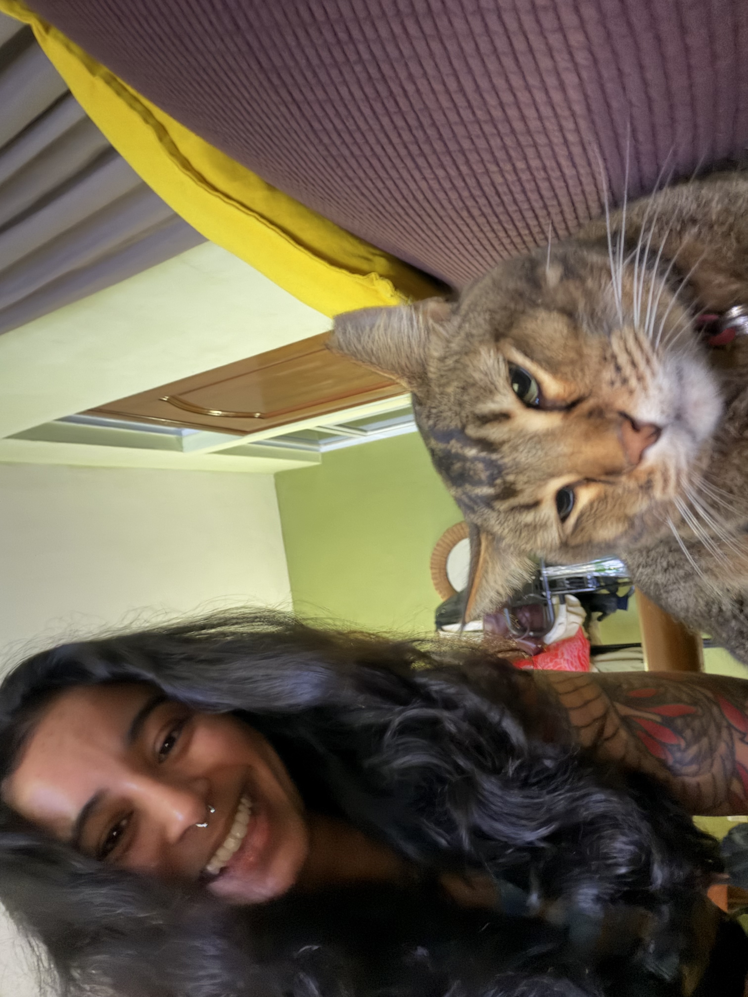 image-6