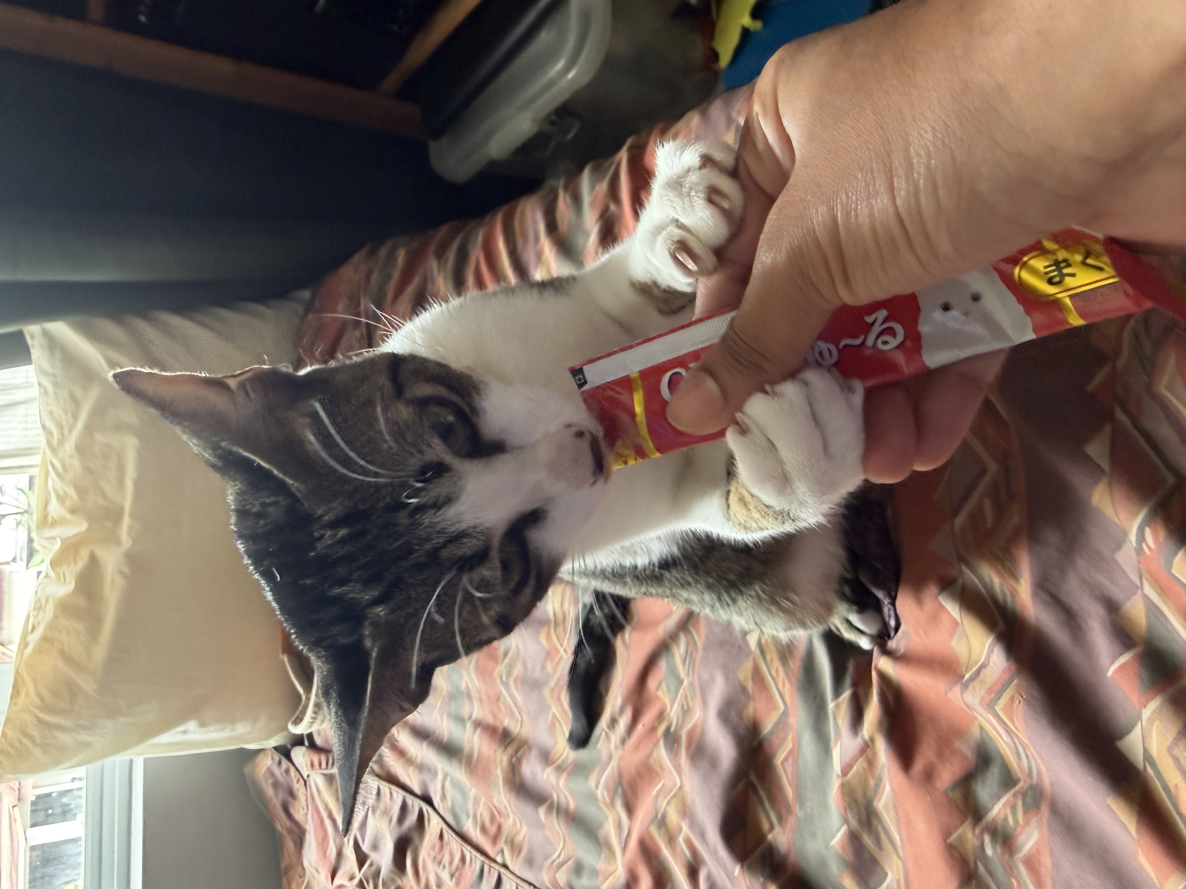 image-10