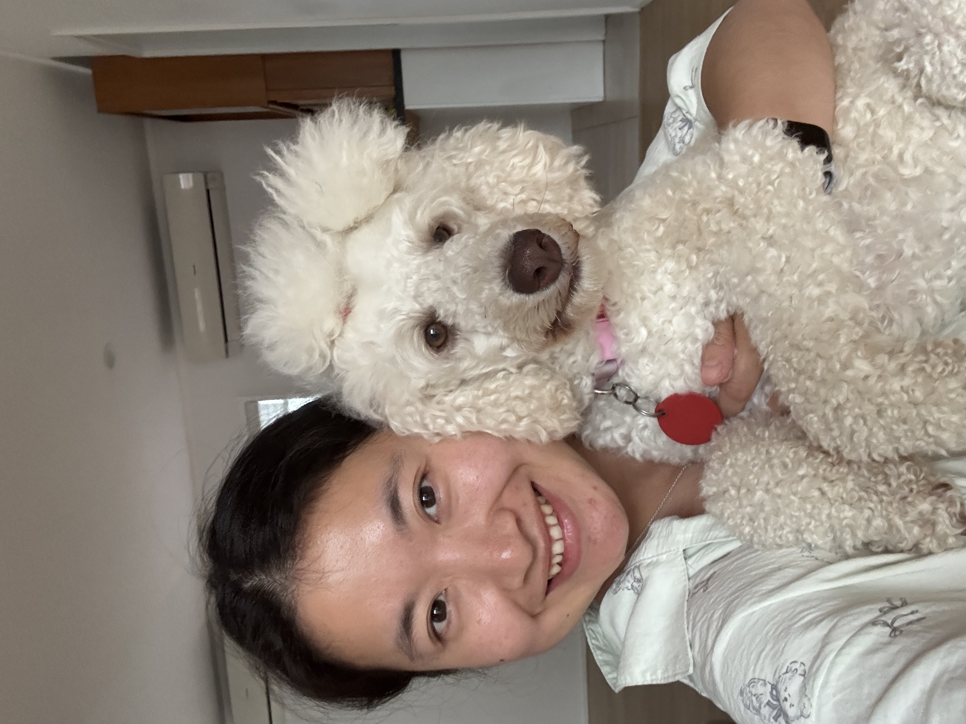 image-13
