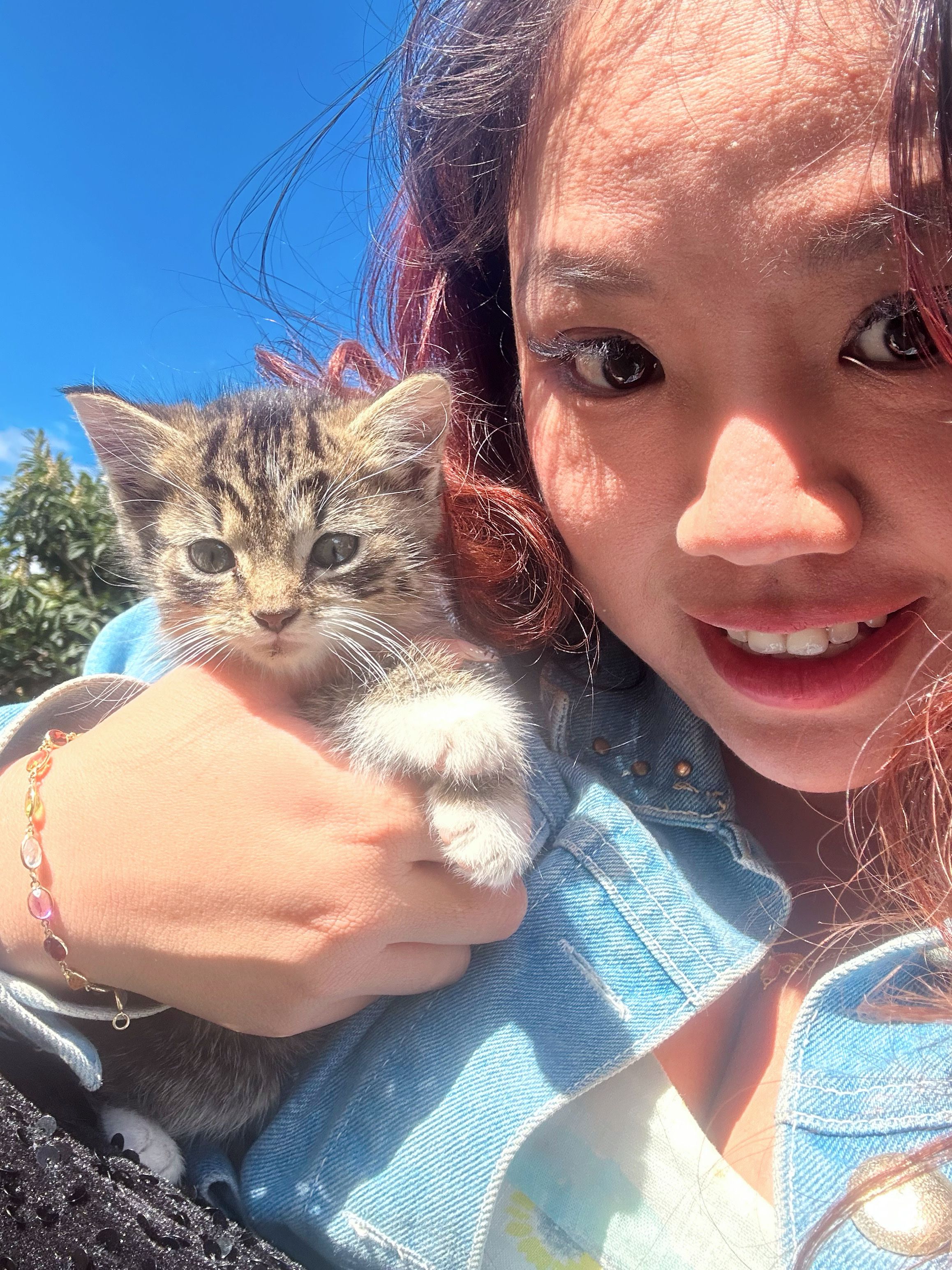 image-3