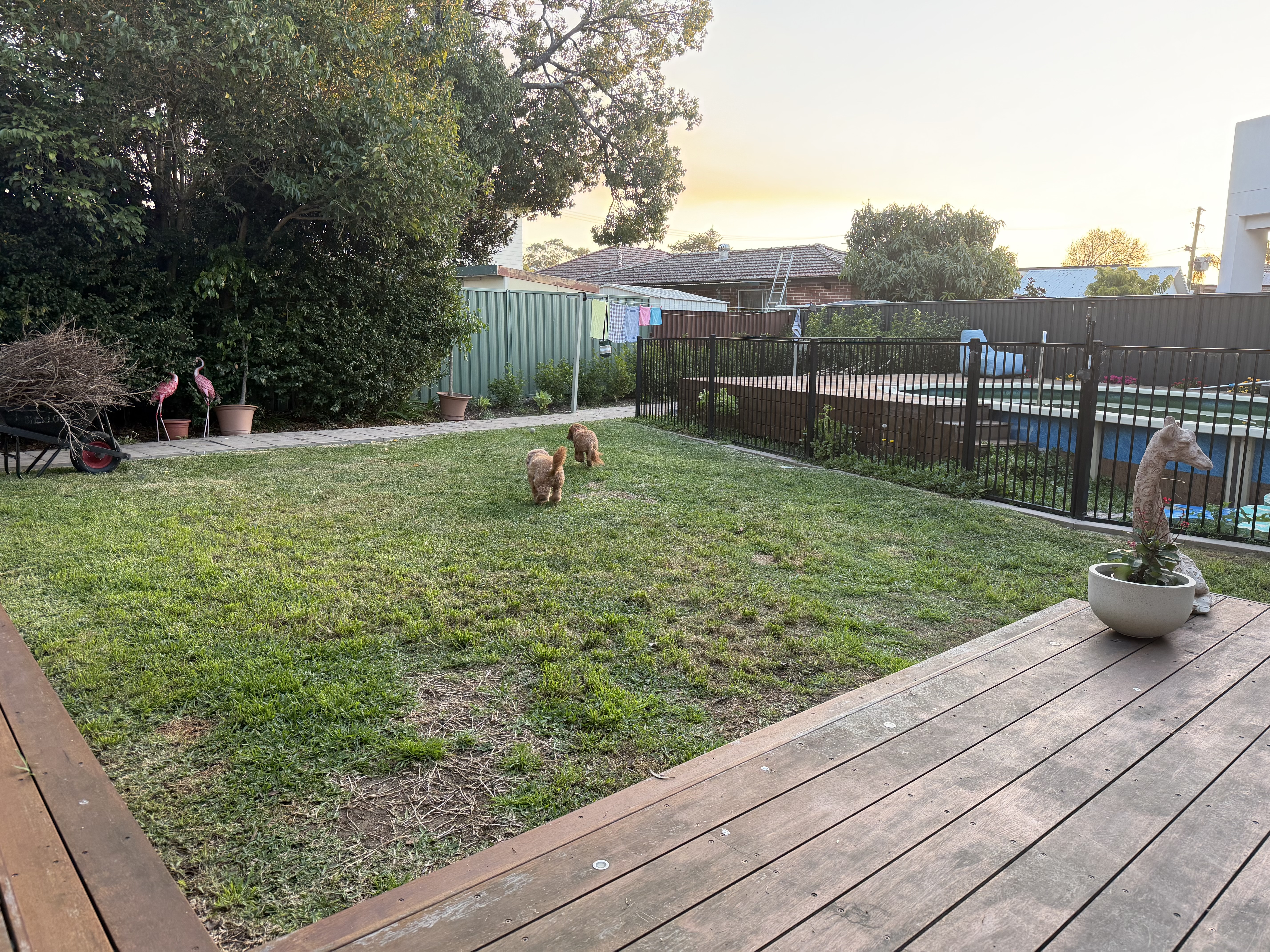 image-10