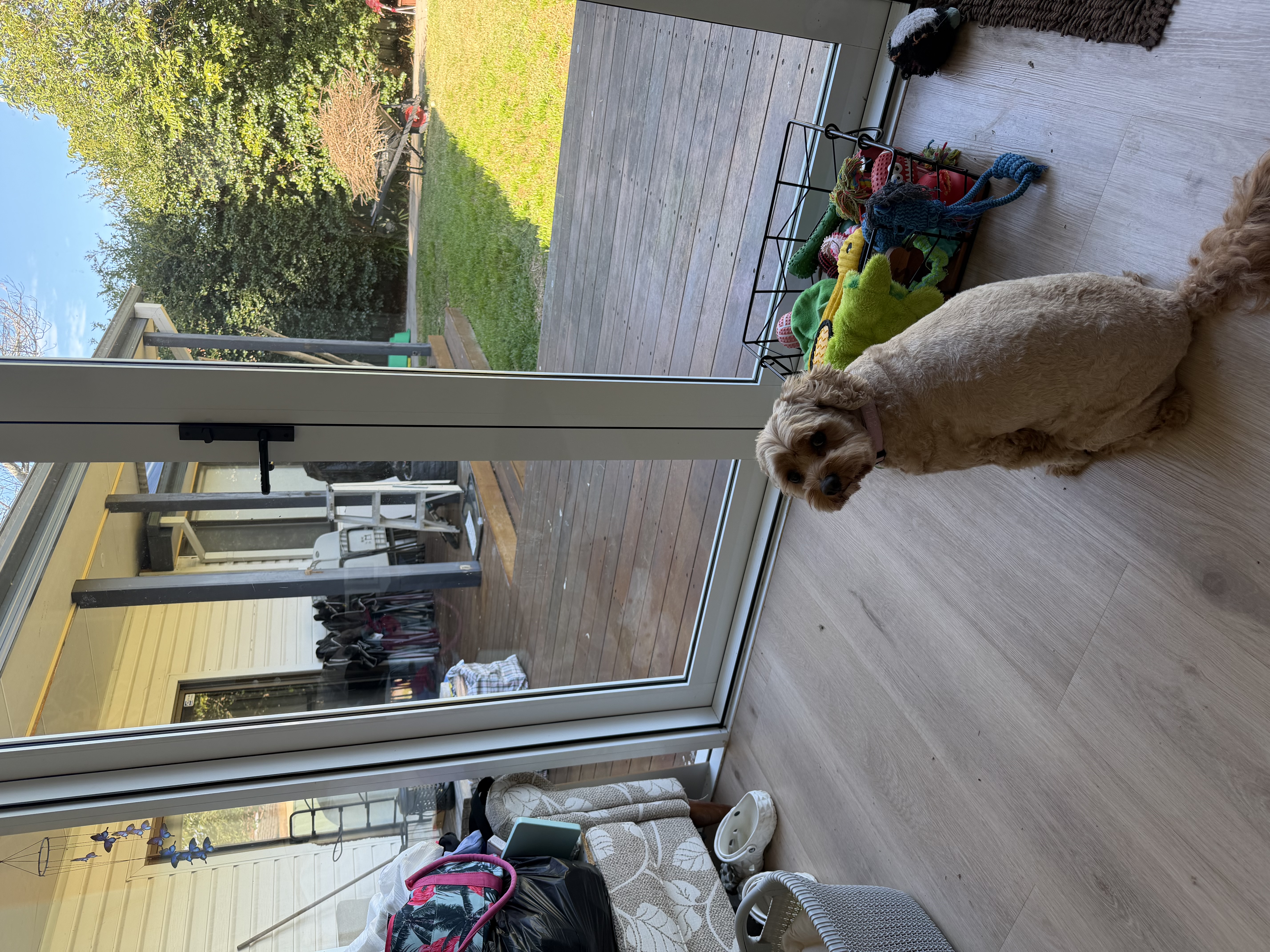 image-9
