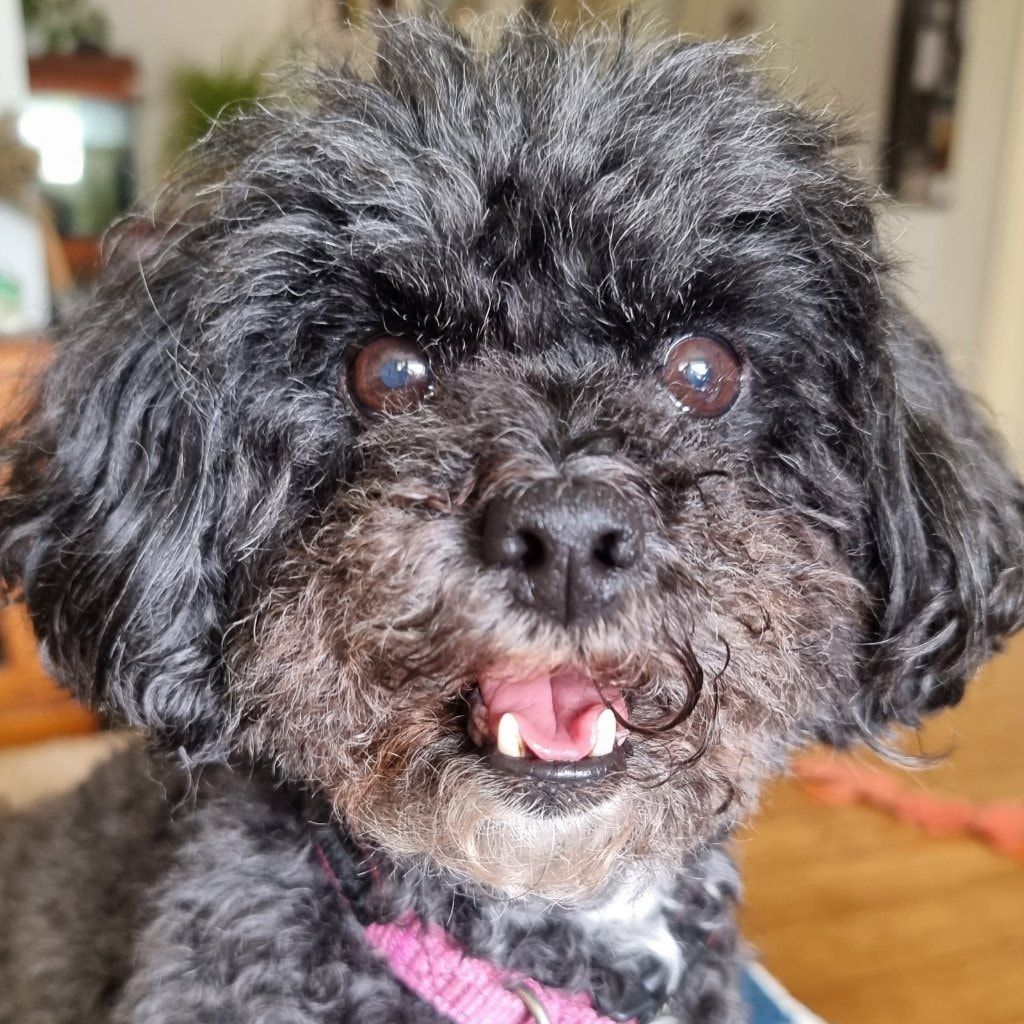 Bonnie