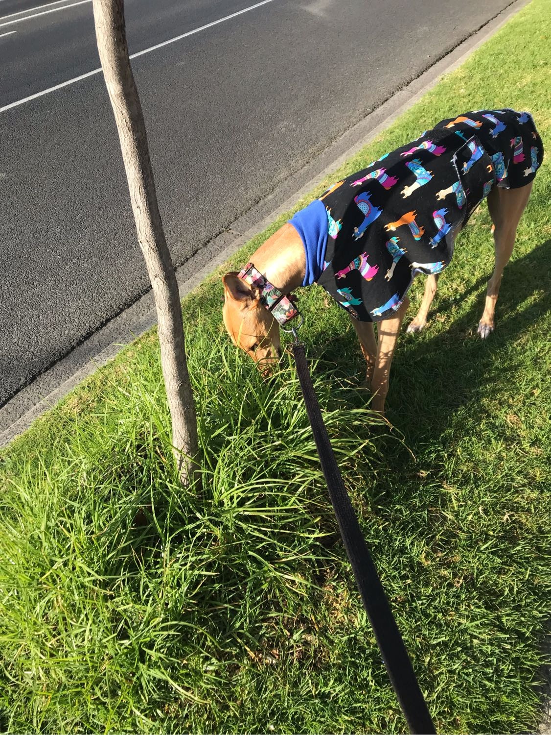 image-9