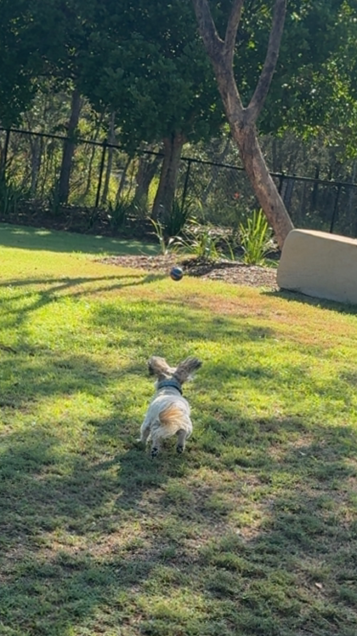 image-9