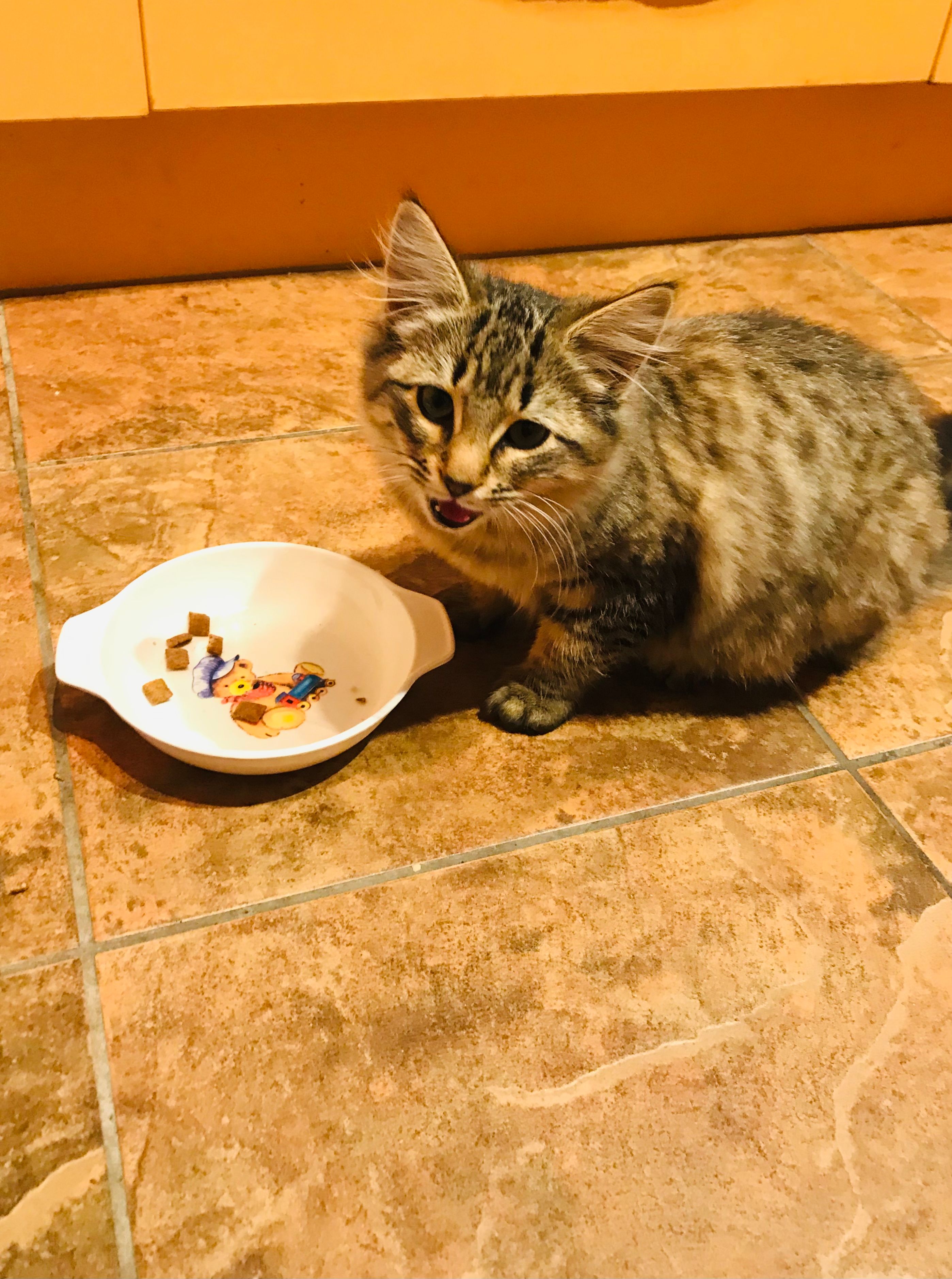 image-18