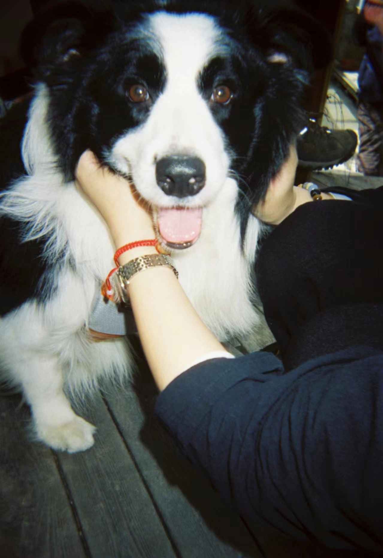 image-7