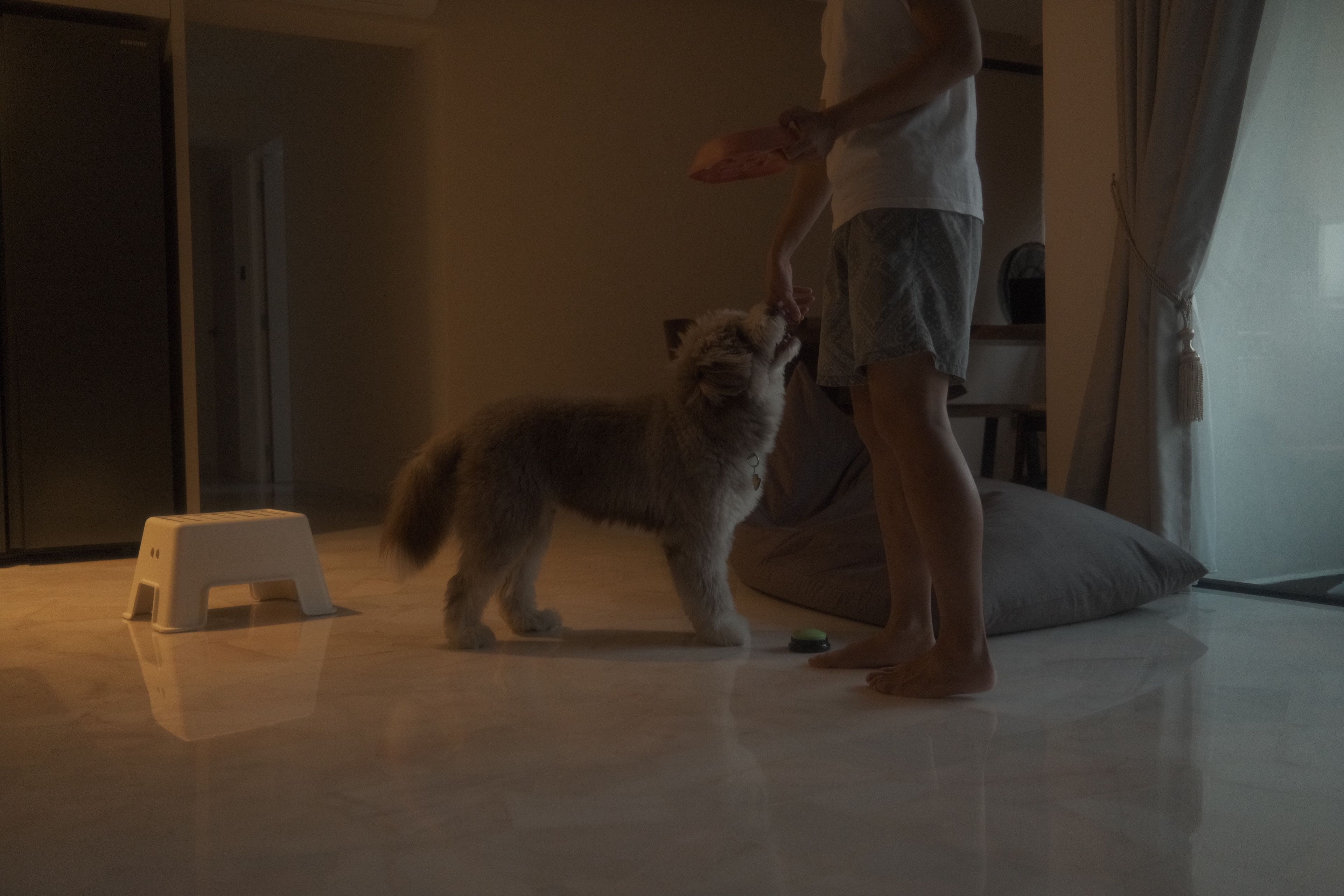 image-10