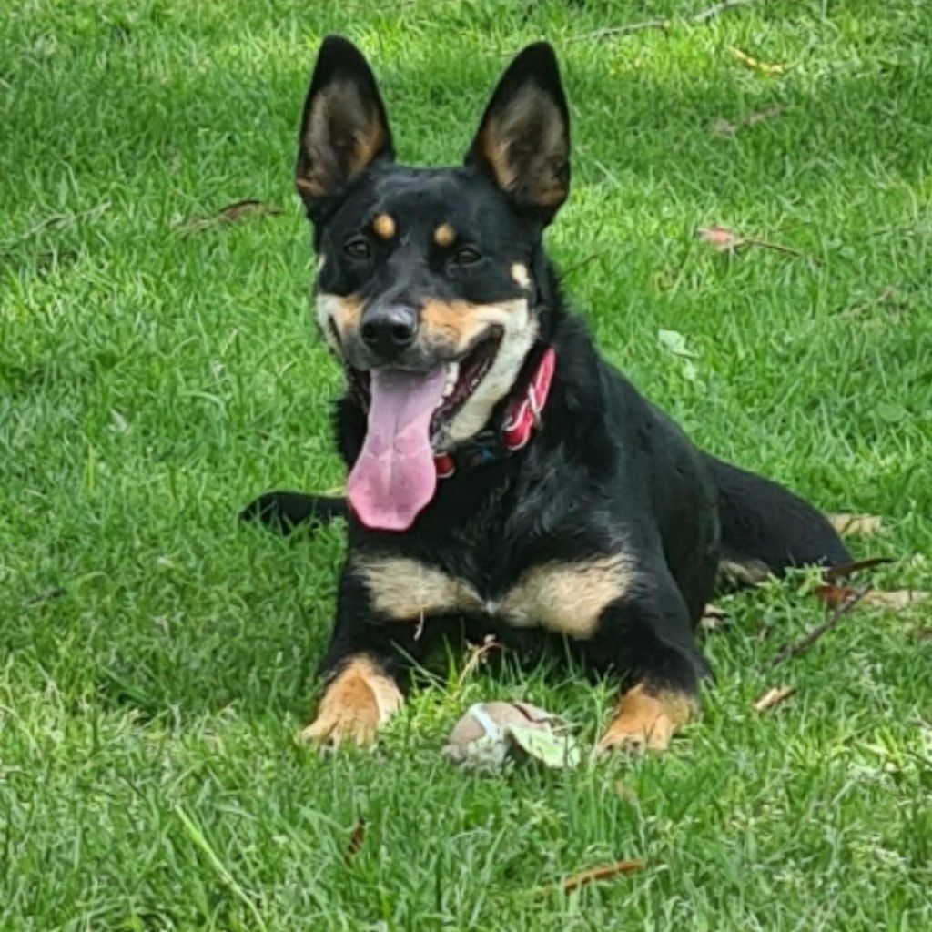 Tilly
