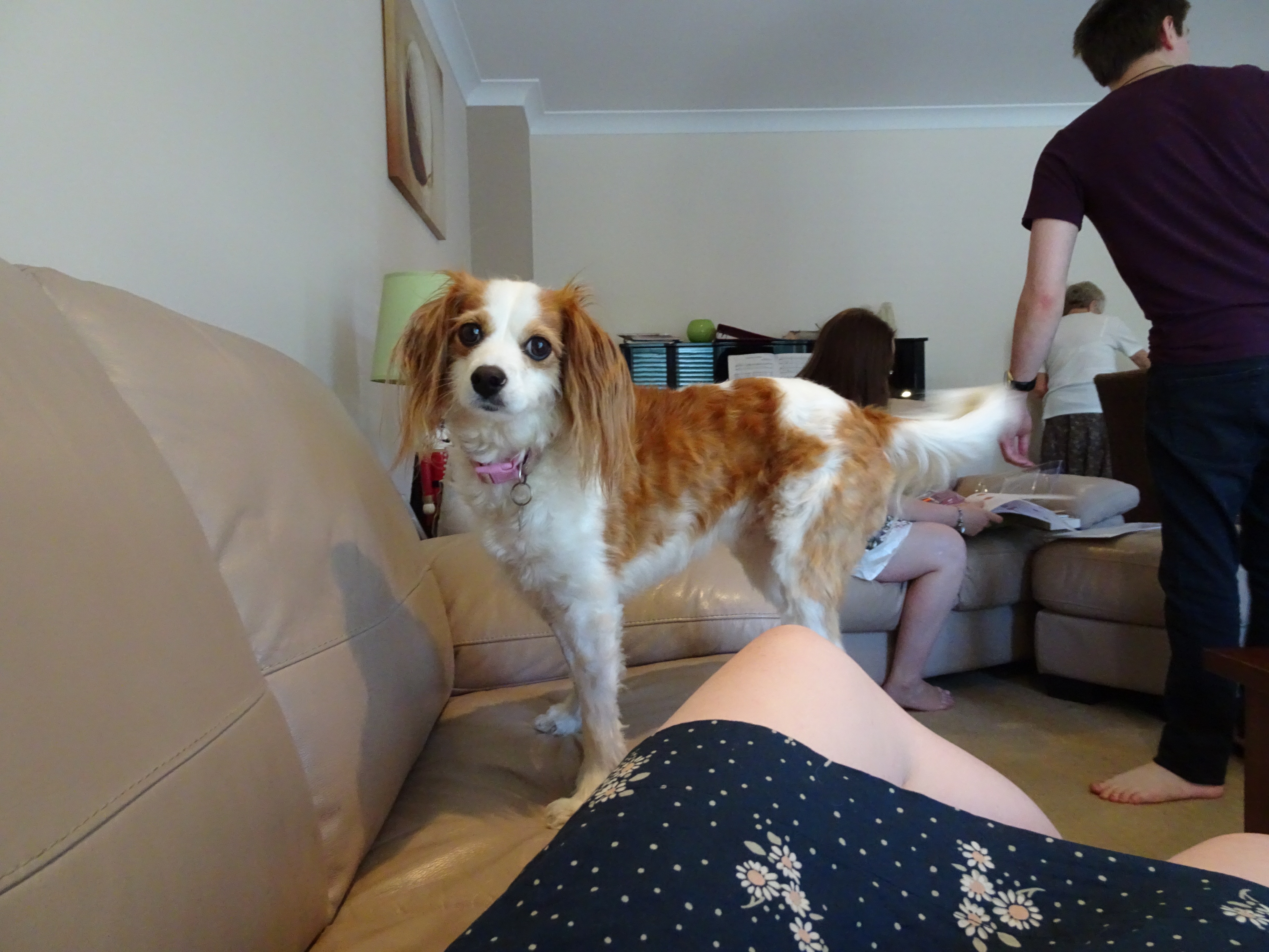image-9