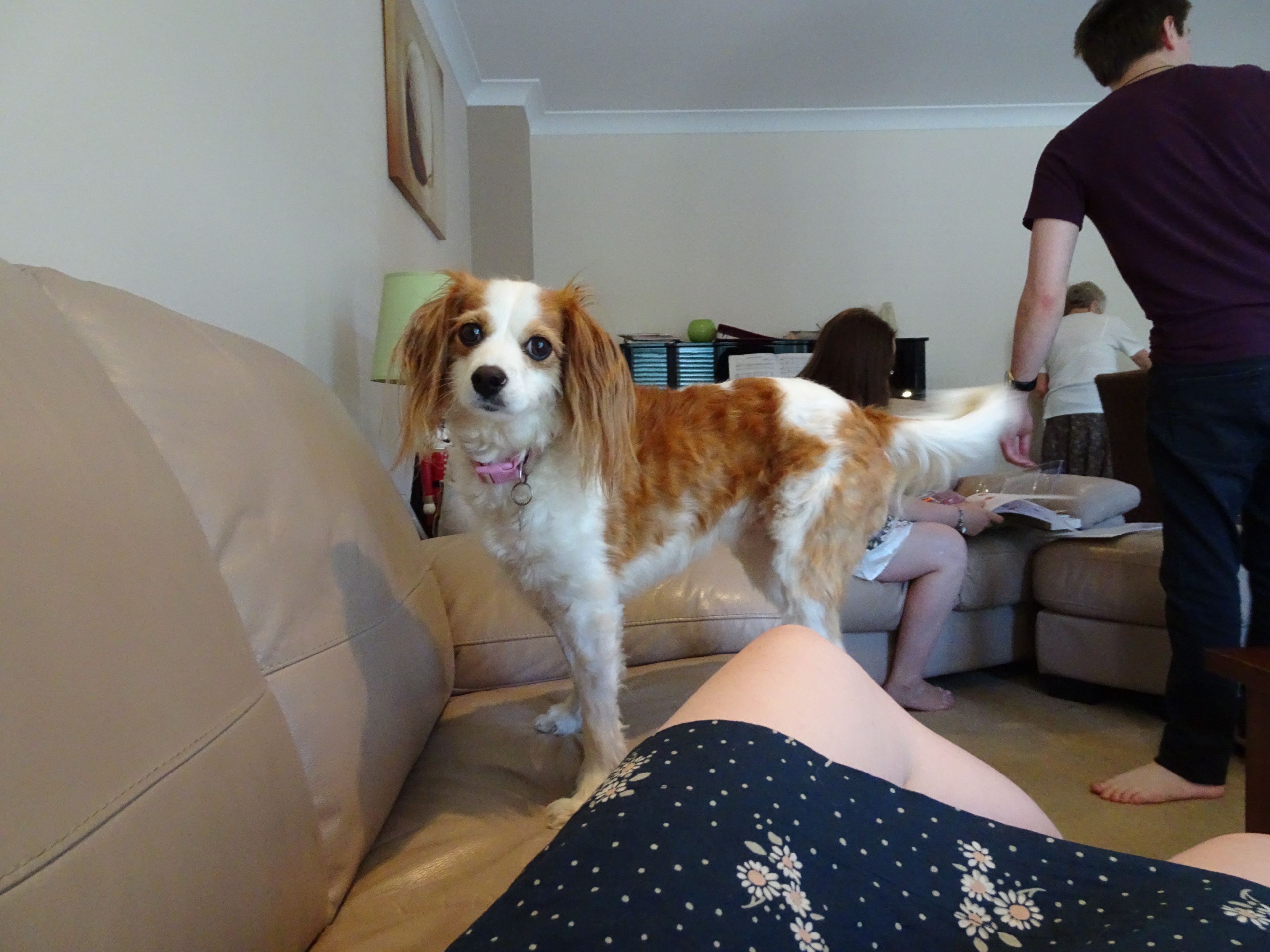 image-9