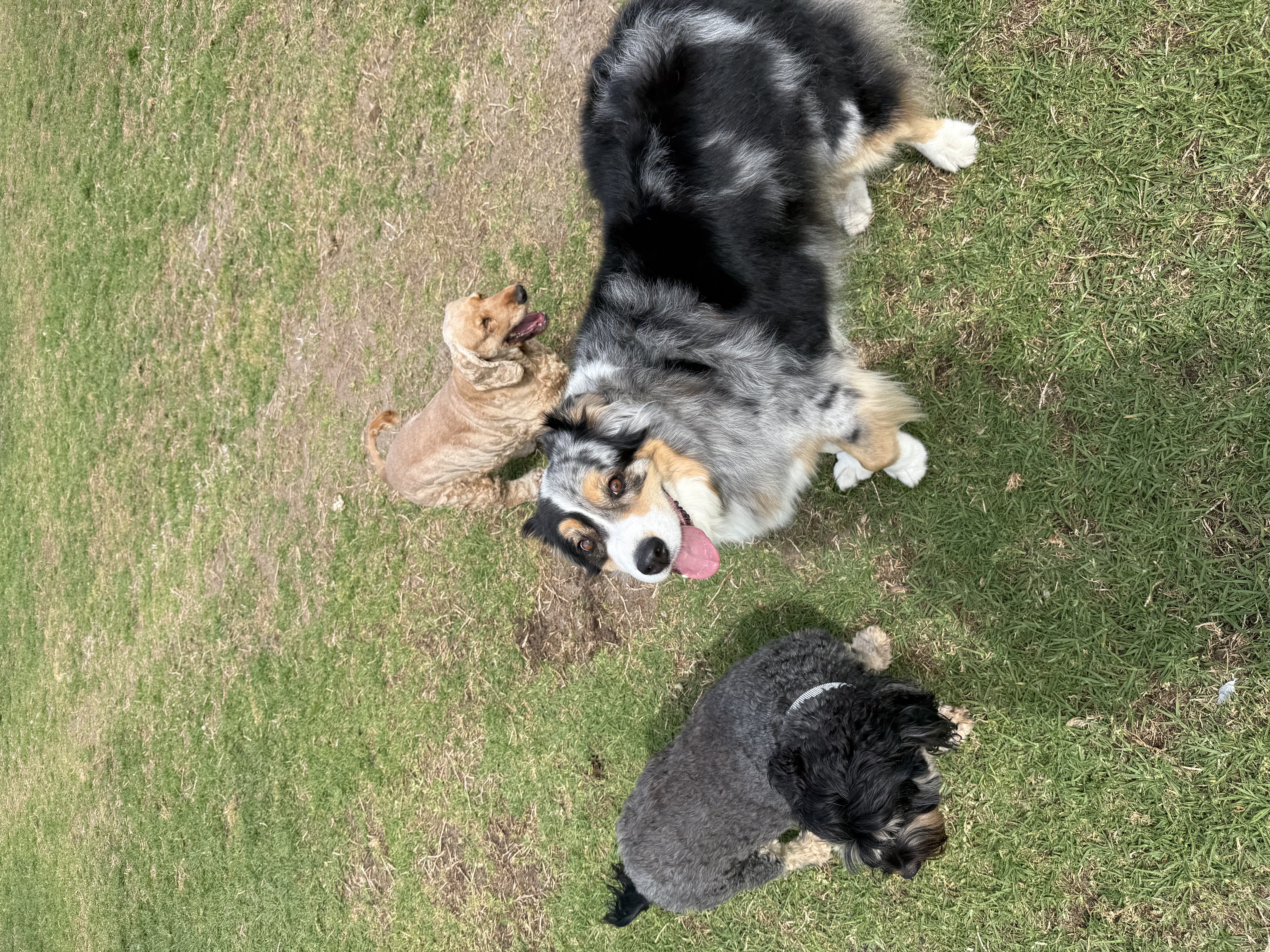 image-9
