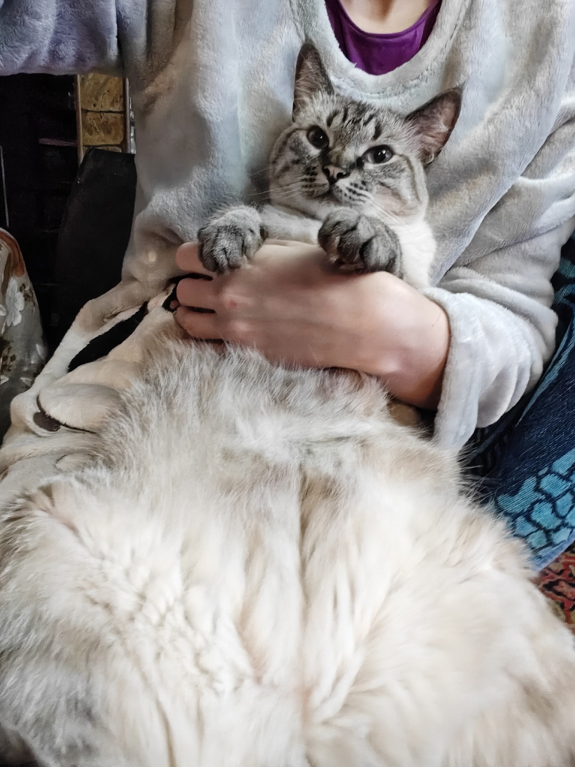 image-6