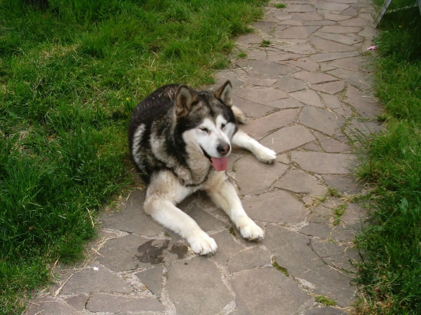 image-3
