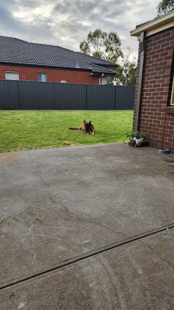 image-12