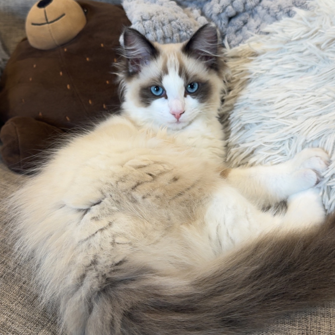 Sophie