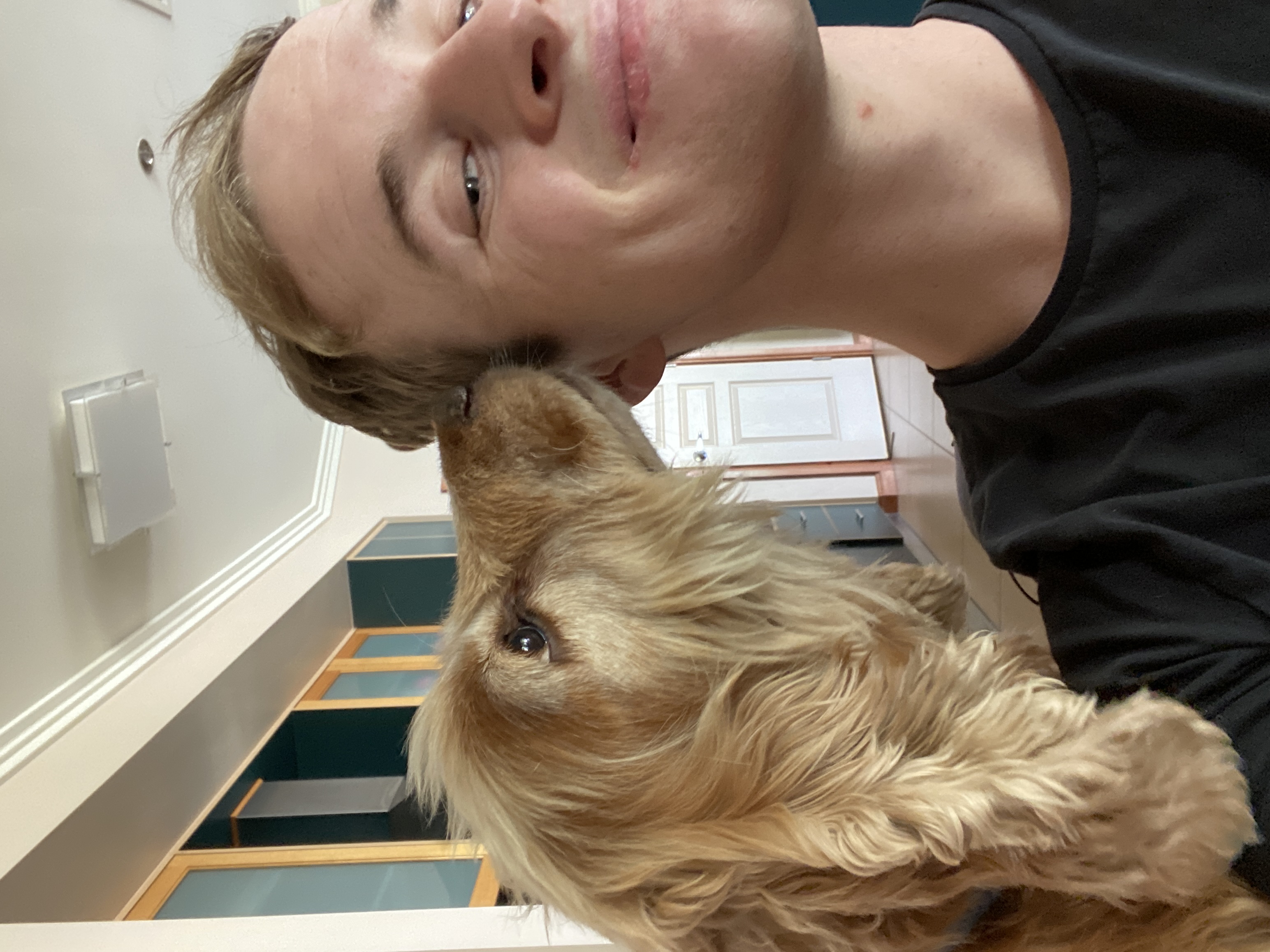 image-11