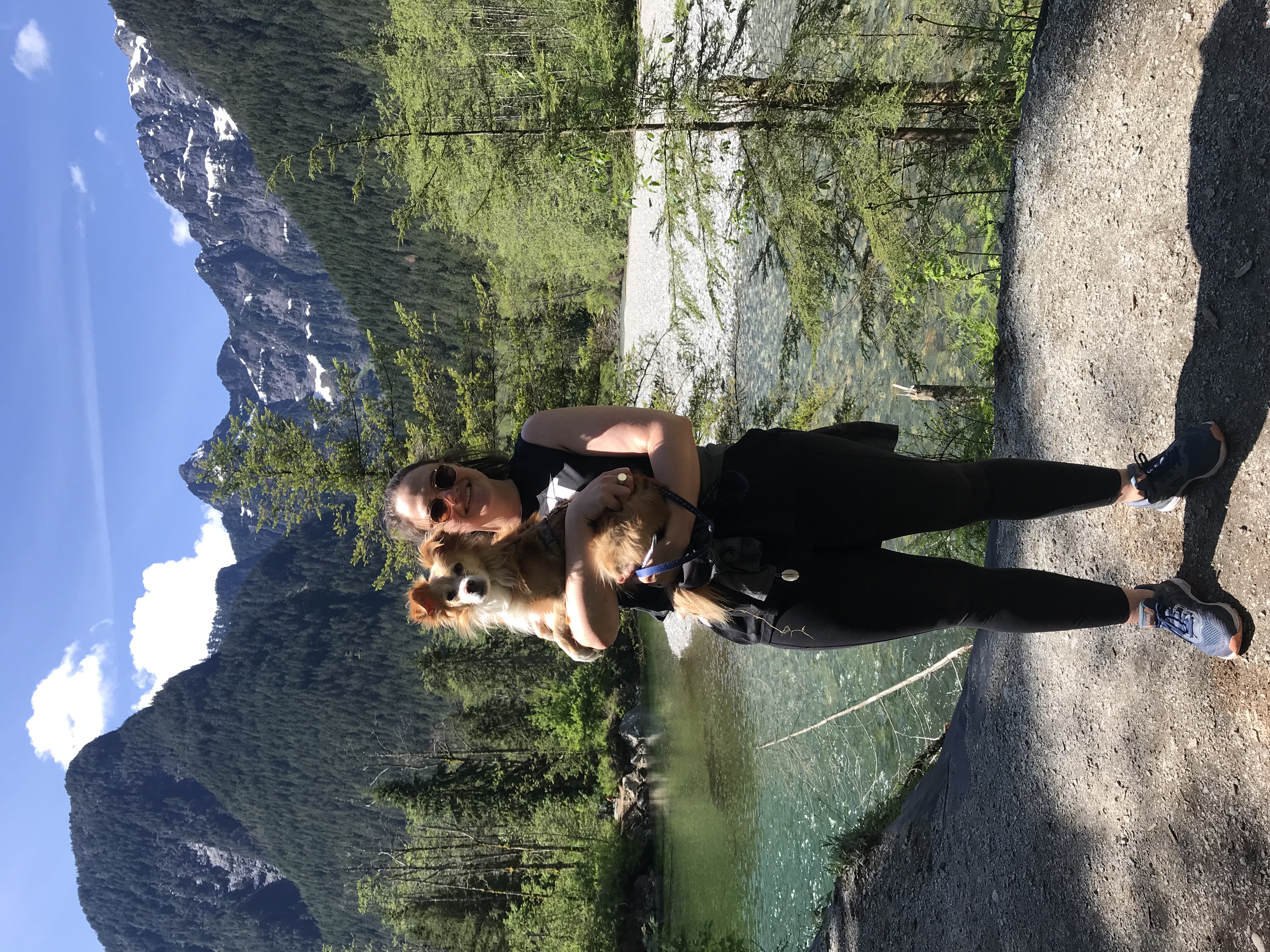 image-6