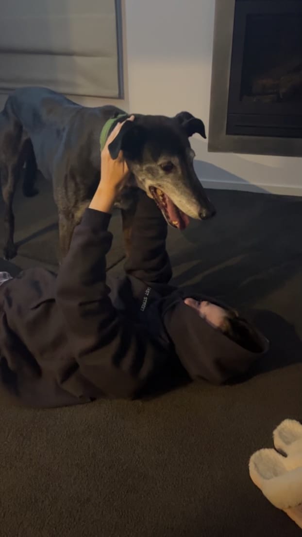 image-7