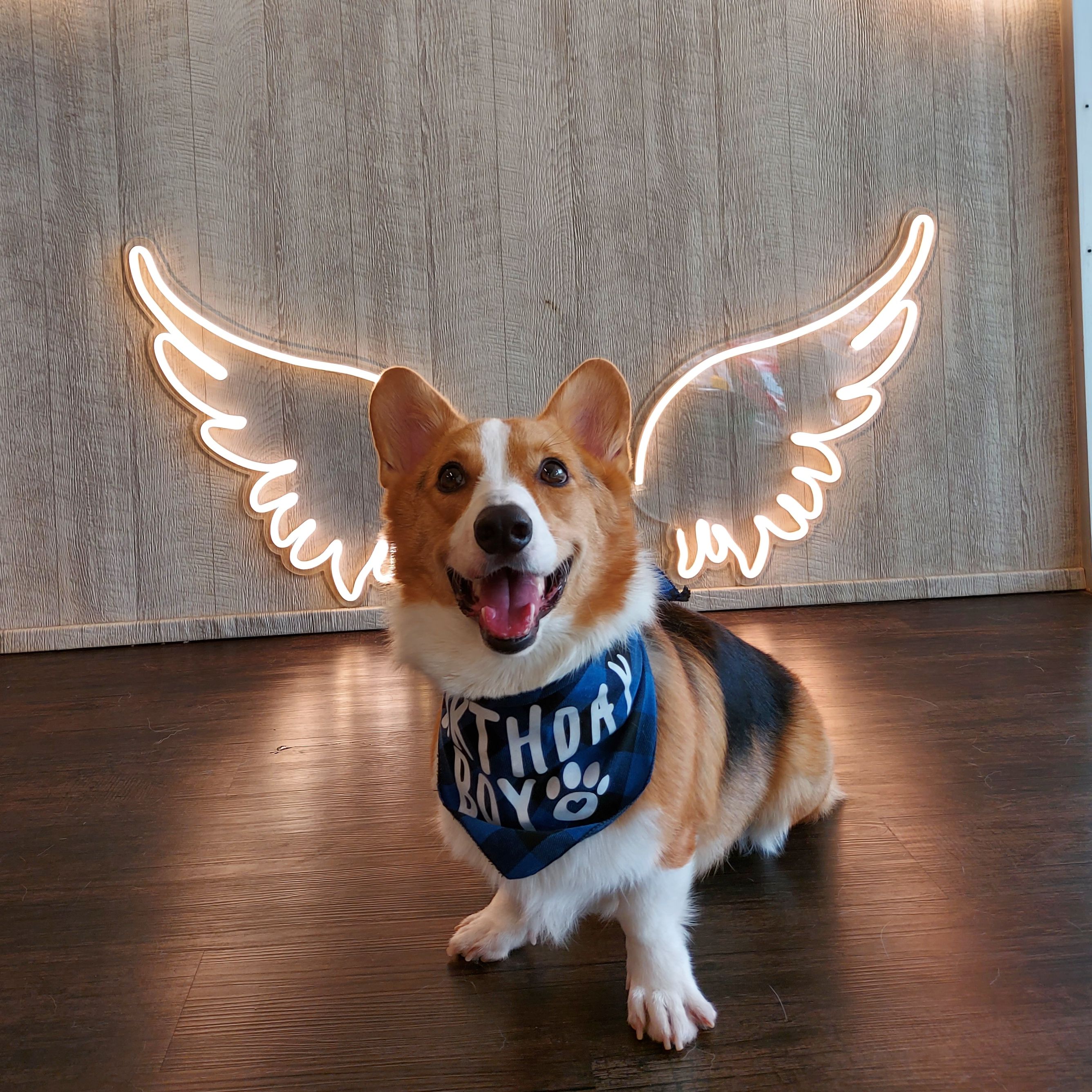 Loki