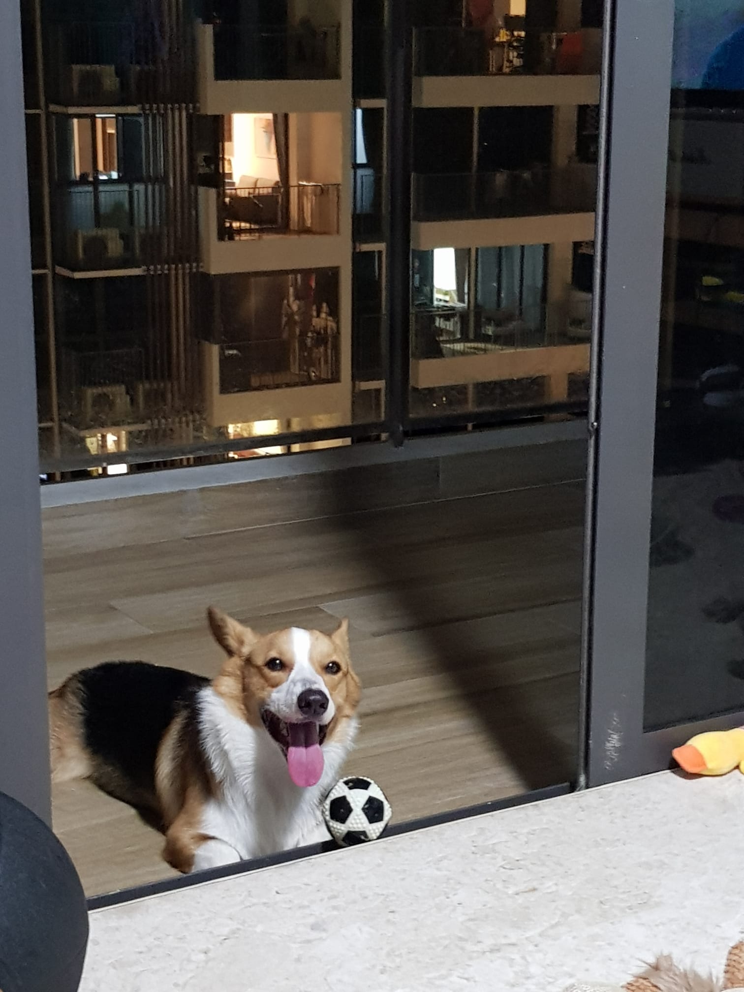 image-7